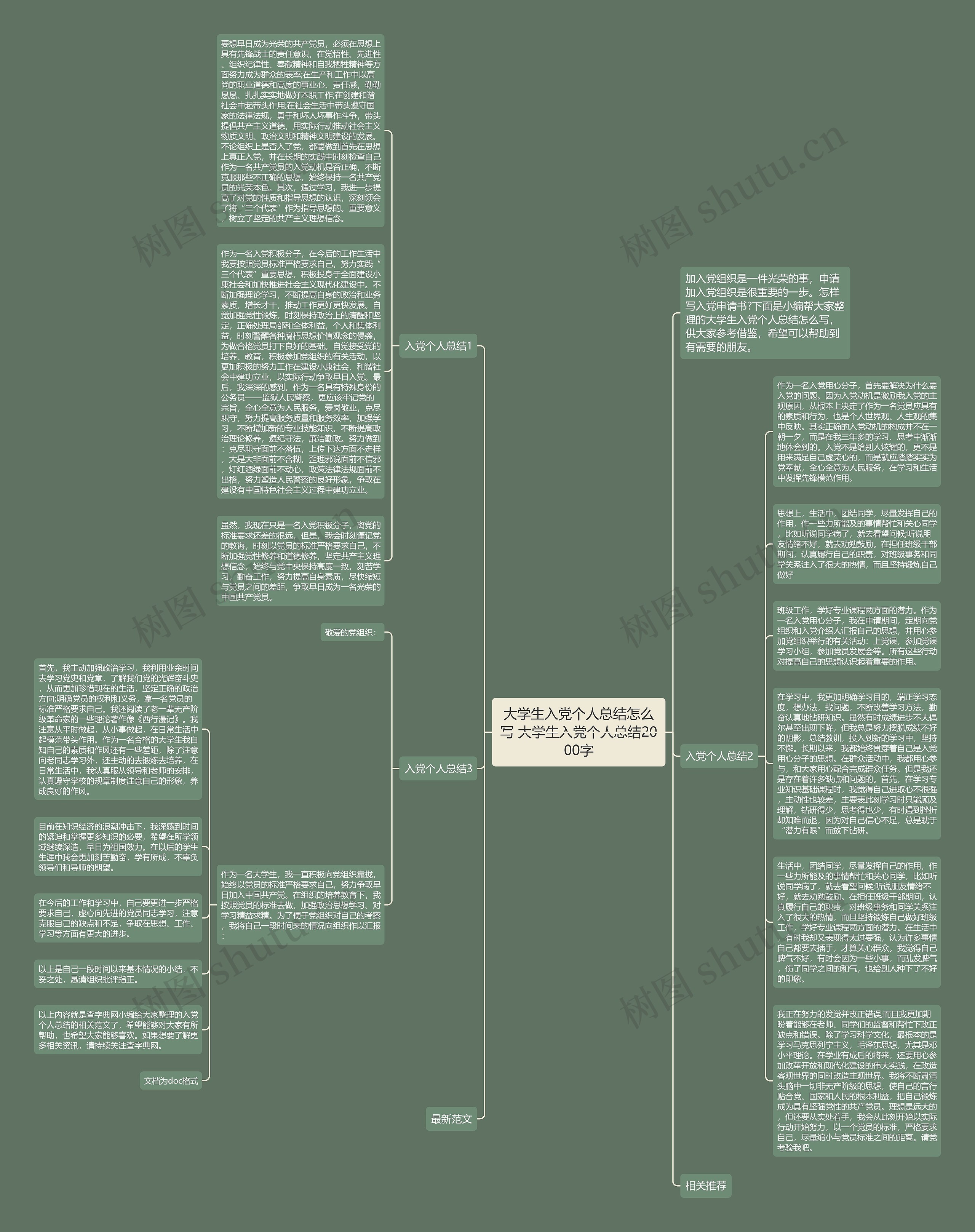 大学生入党个人总结怎么写 大学生入党个人总结2000字思维导图
