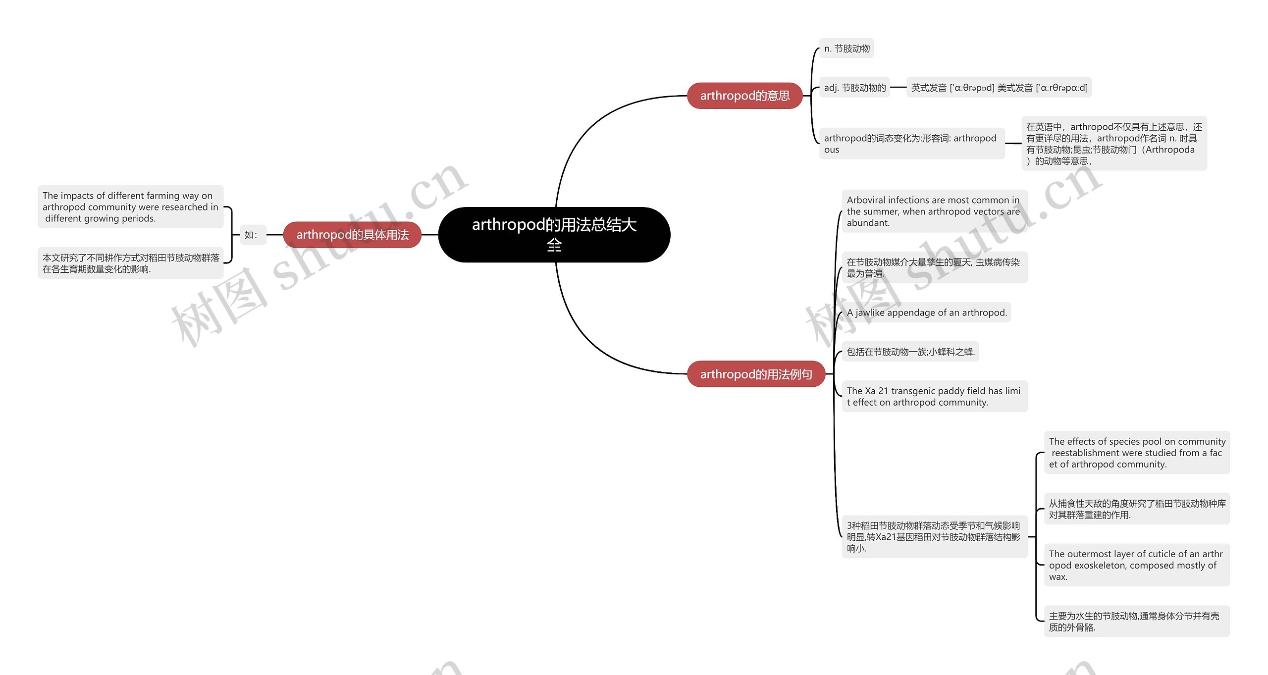arthropod的用法总结大全思维导图