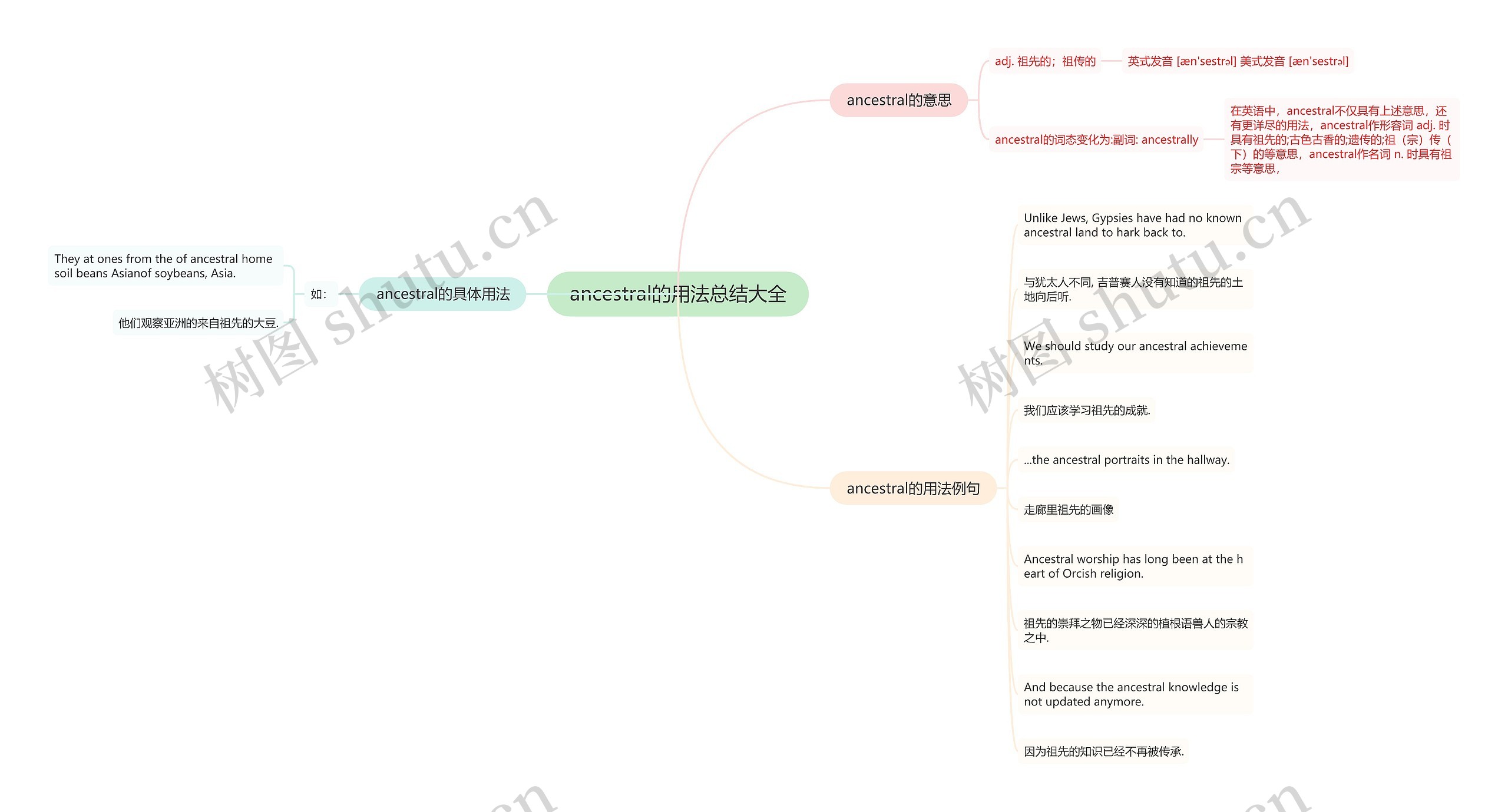 ancestral的用法总结大全思维导图