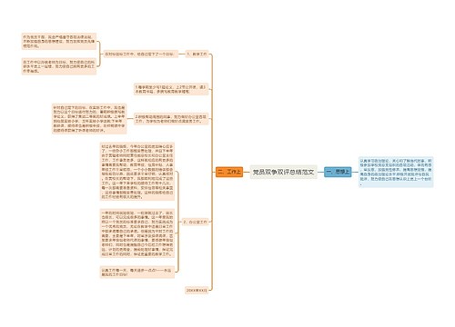 党员双争双评总结范文