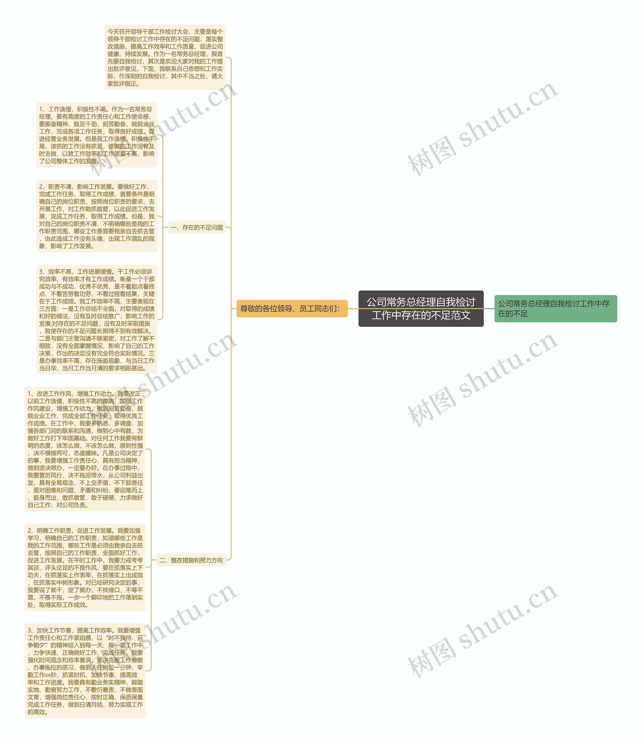 公司常务总经理自我检讨工作中存在的不足范文思维导图