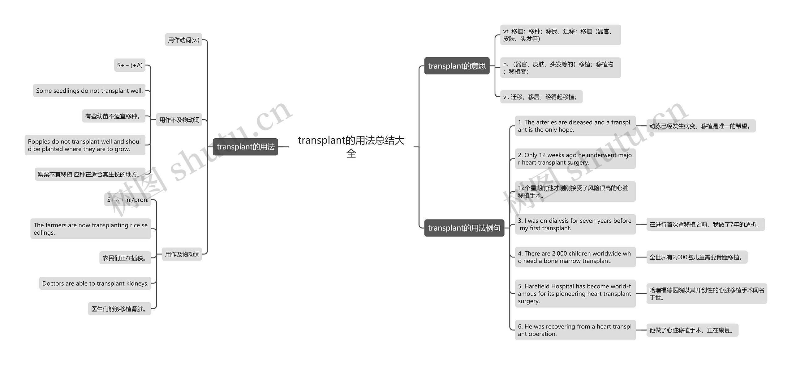 transplant的用法总结大全思维导图