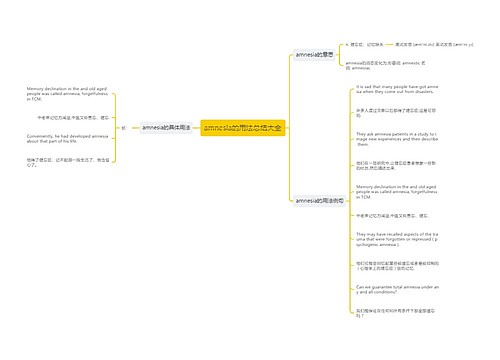 amnesia的用法总结大全