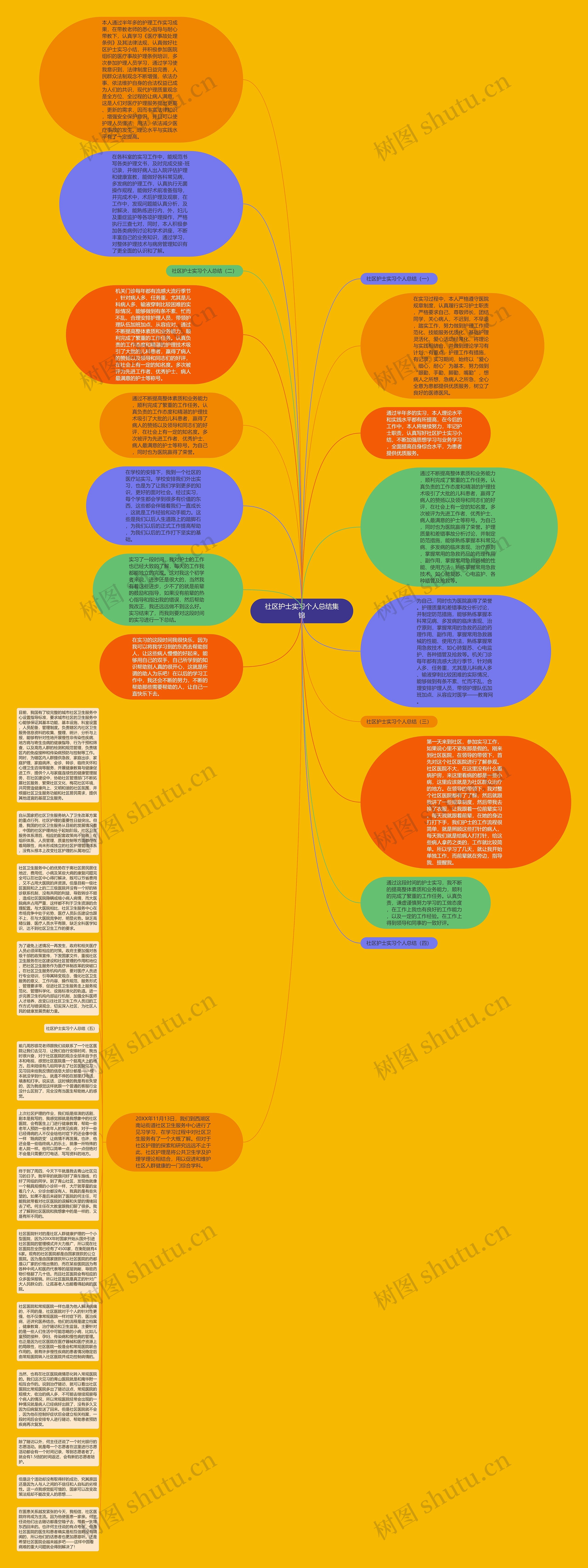 社区护士实习个人总结集锦思维导图