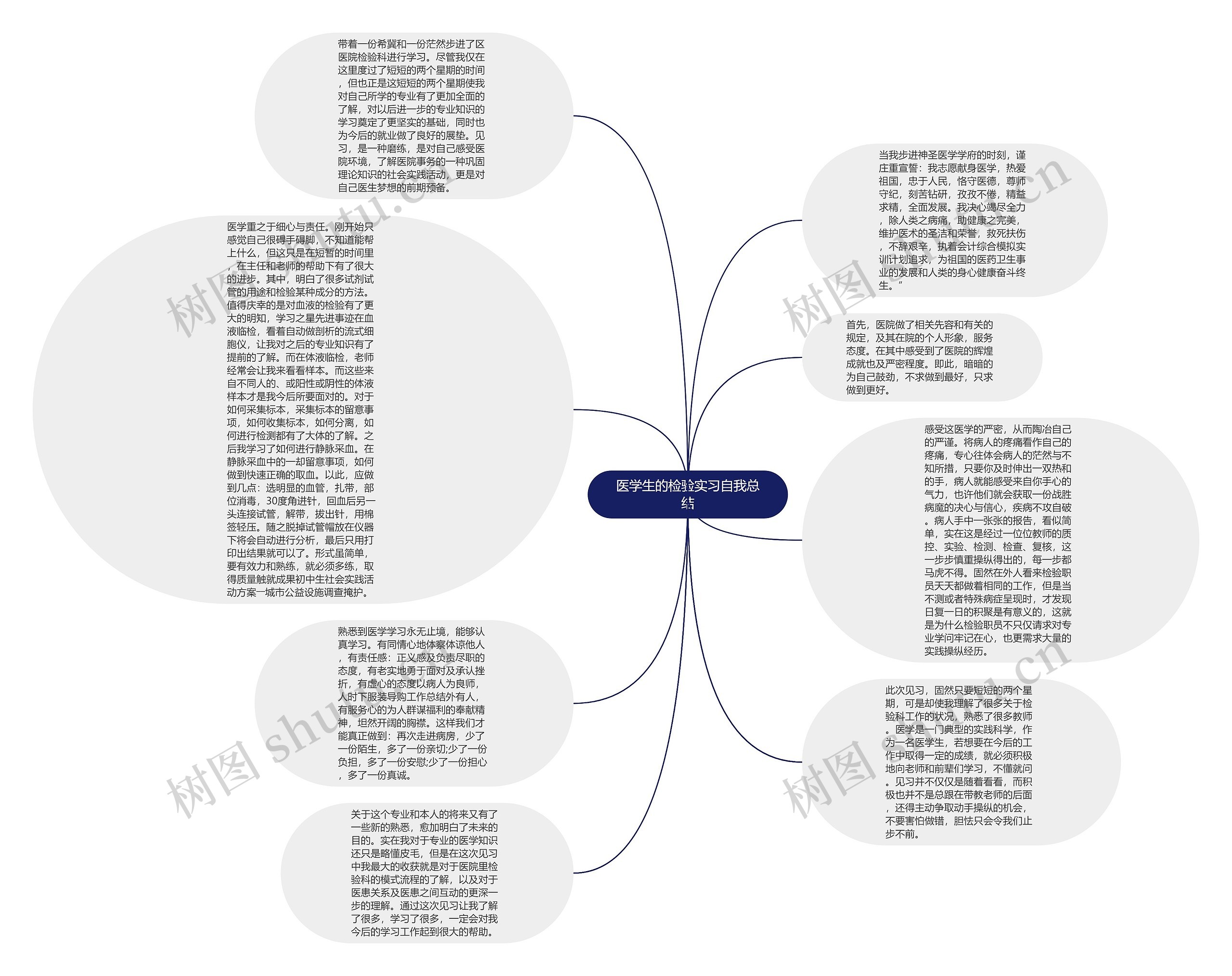 医学生的检验实习自我总结思维导图