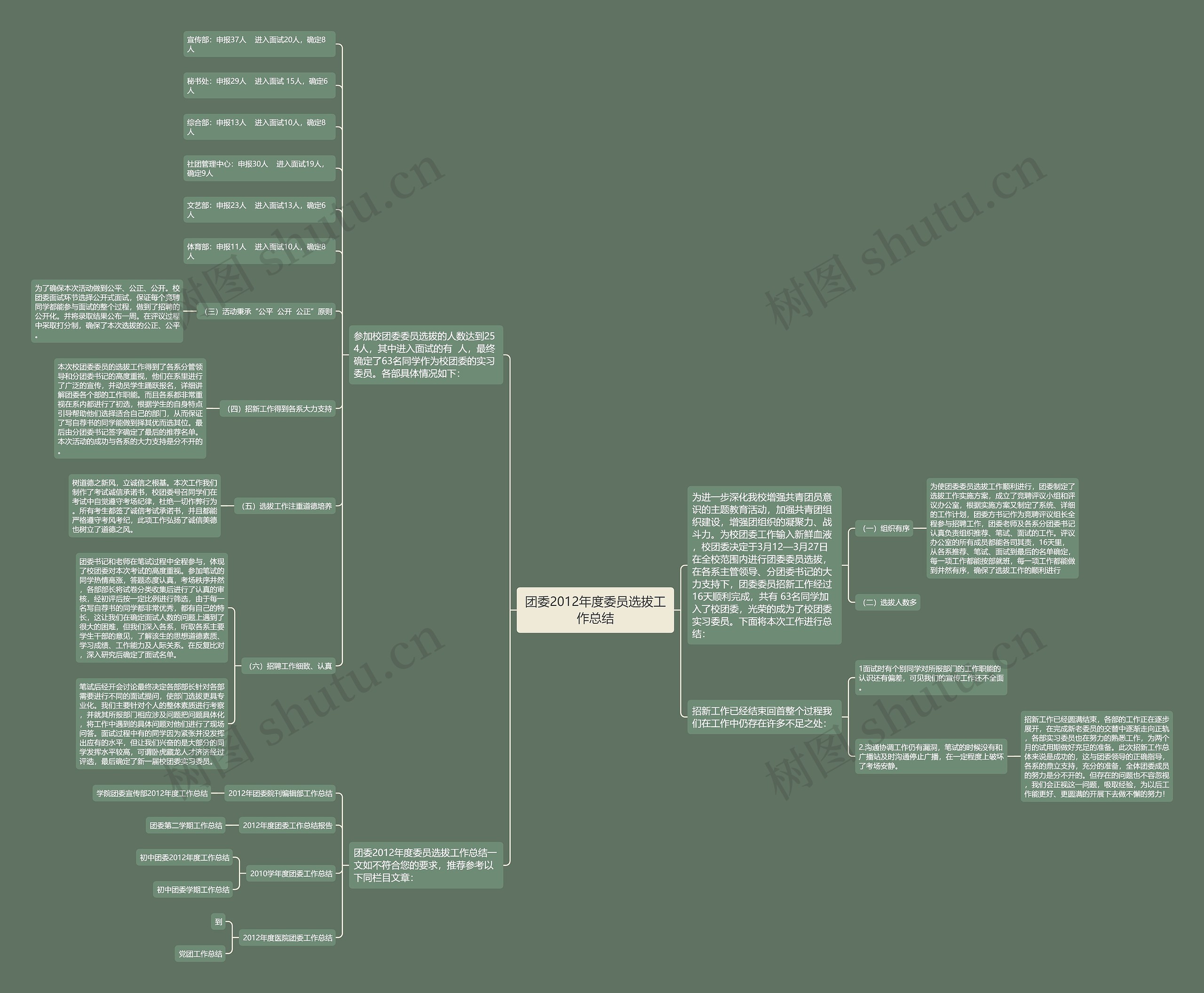 团委2012年度委员选拔工作总结思维导图