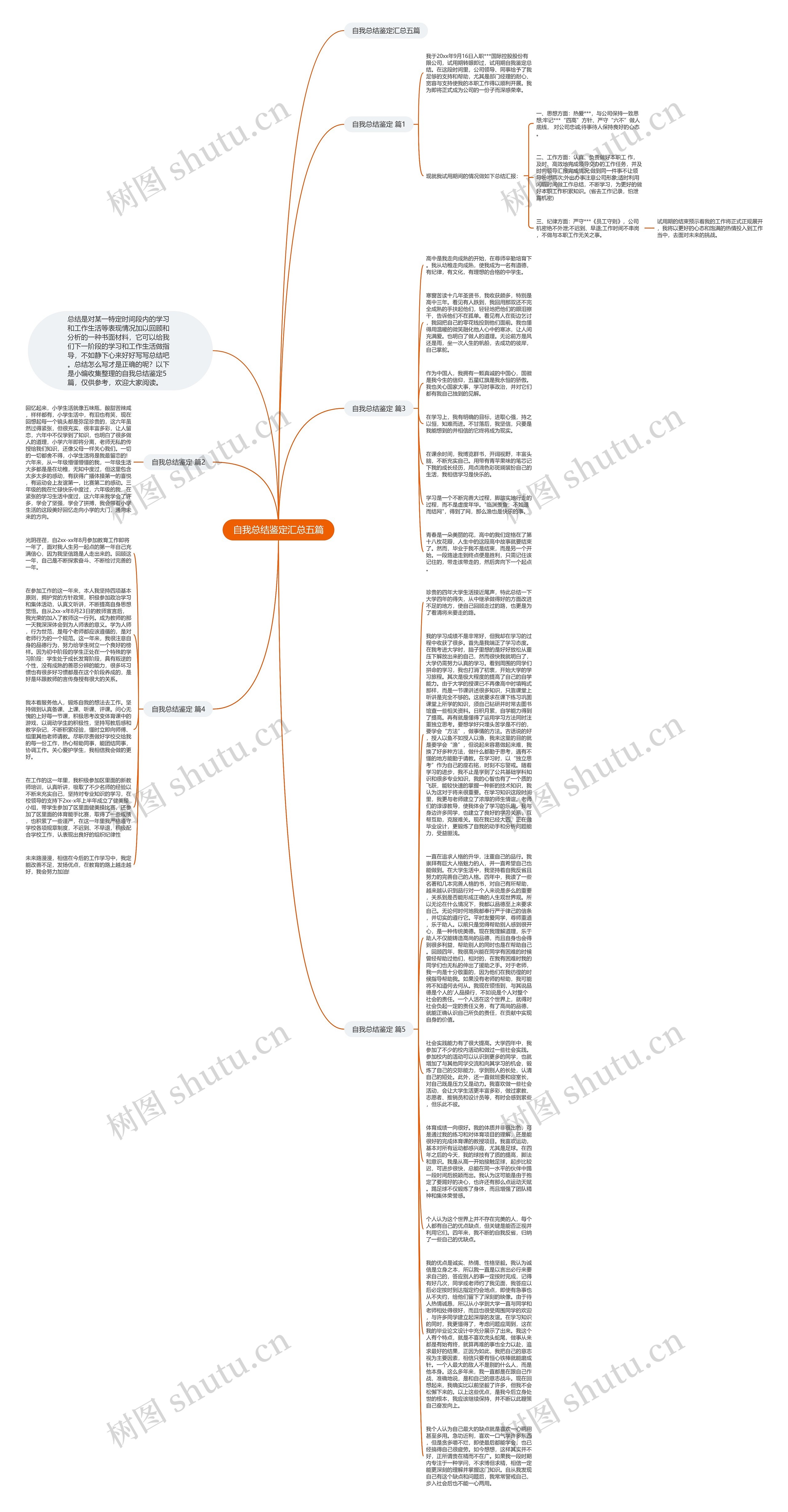 自我总结鉴定汇总五篇思维导图