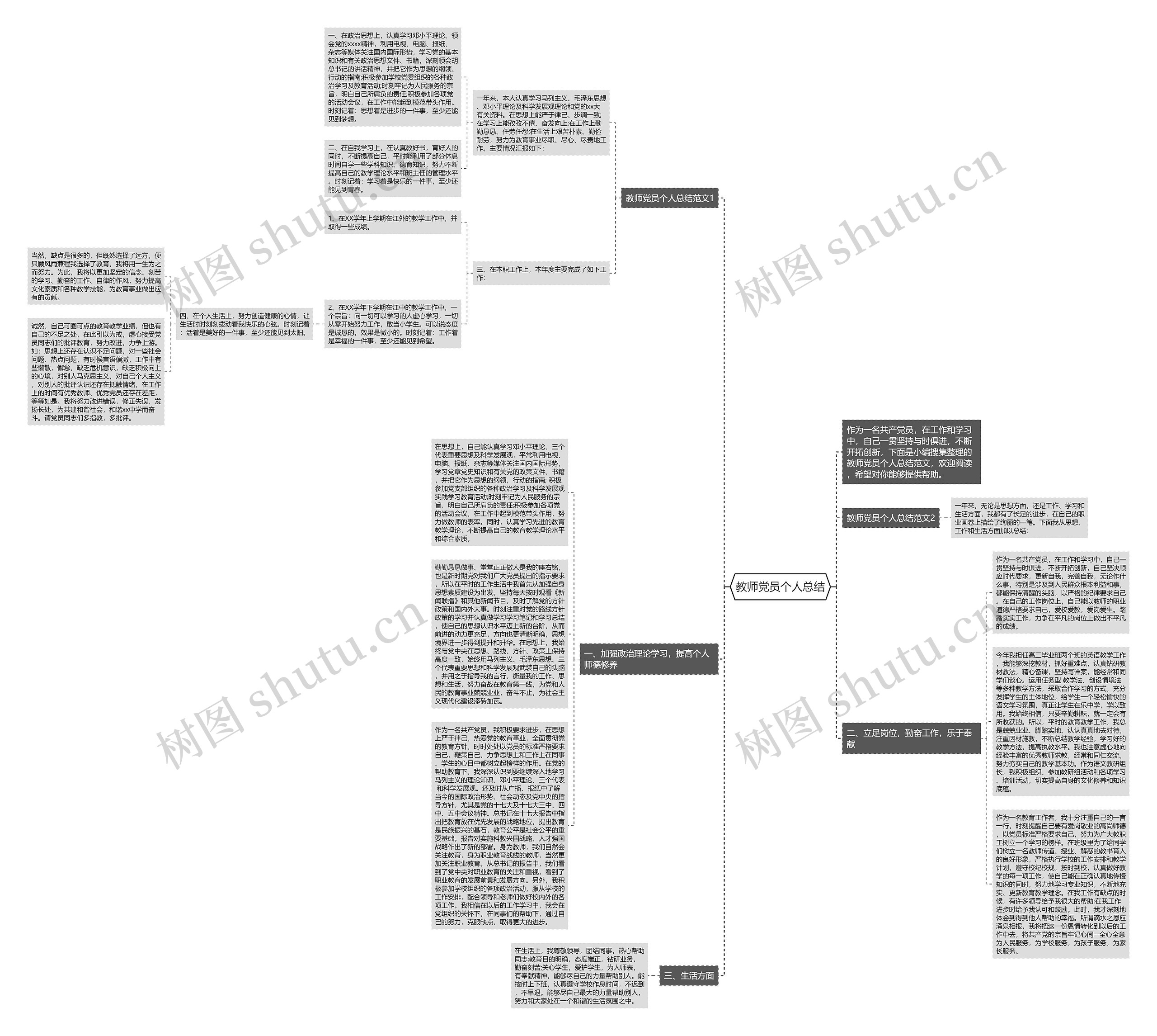 教师党员个人总结思维导图