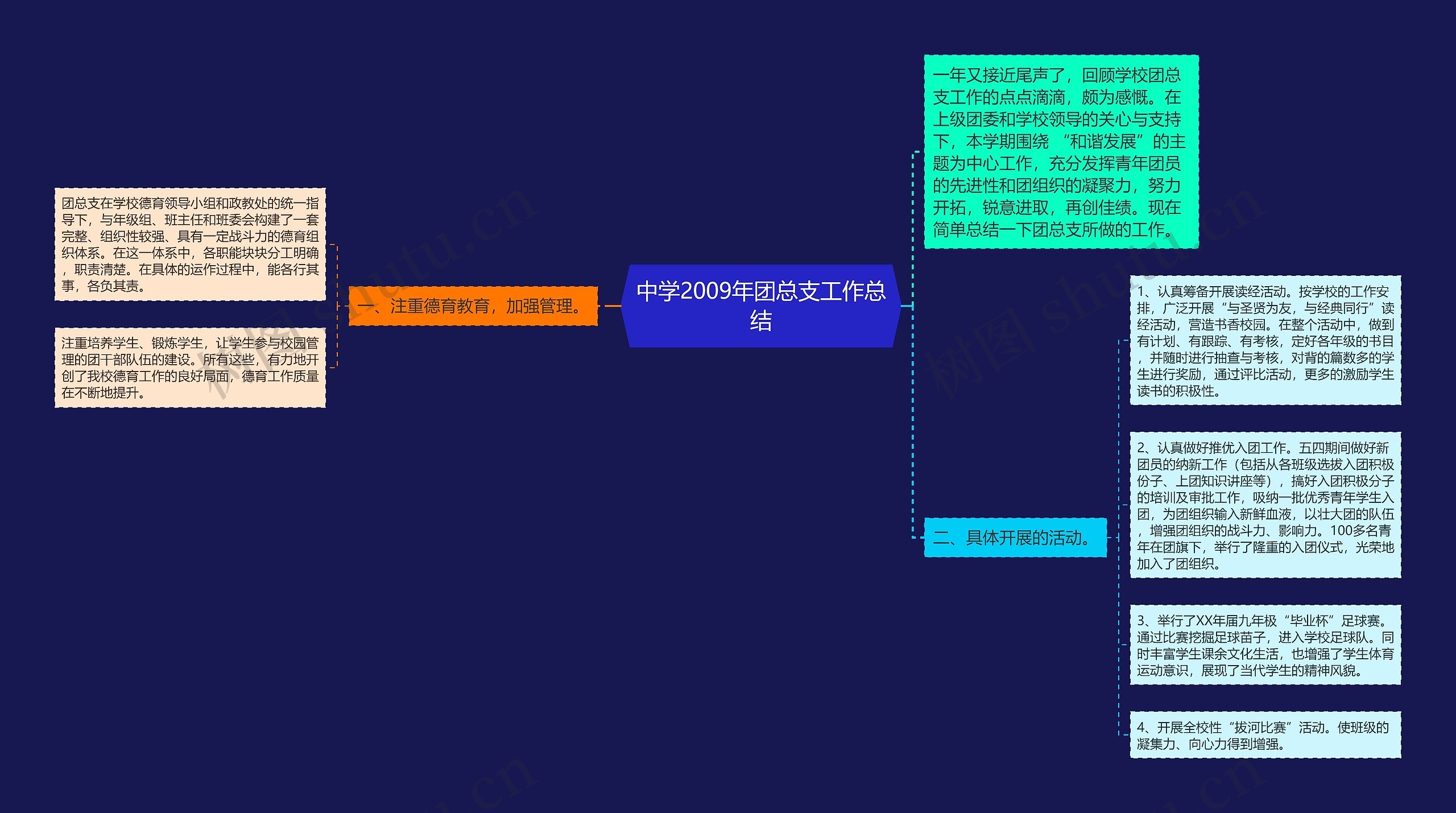 中学2009年团总支工作总结