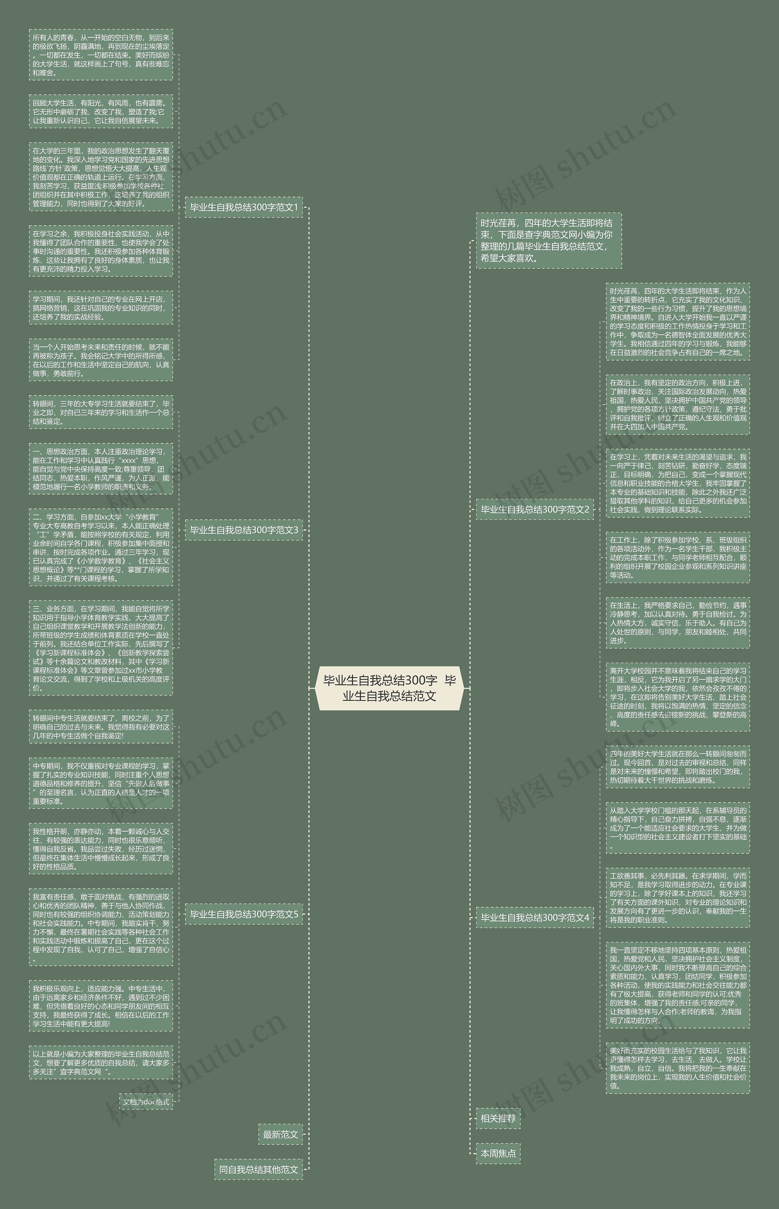 毕业生自我总结300字  毕业生自我总结范文思维导图