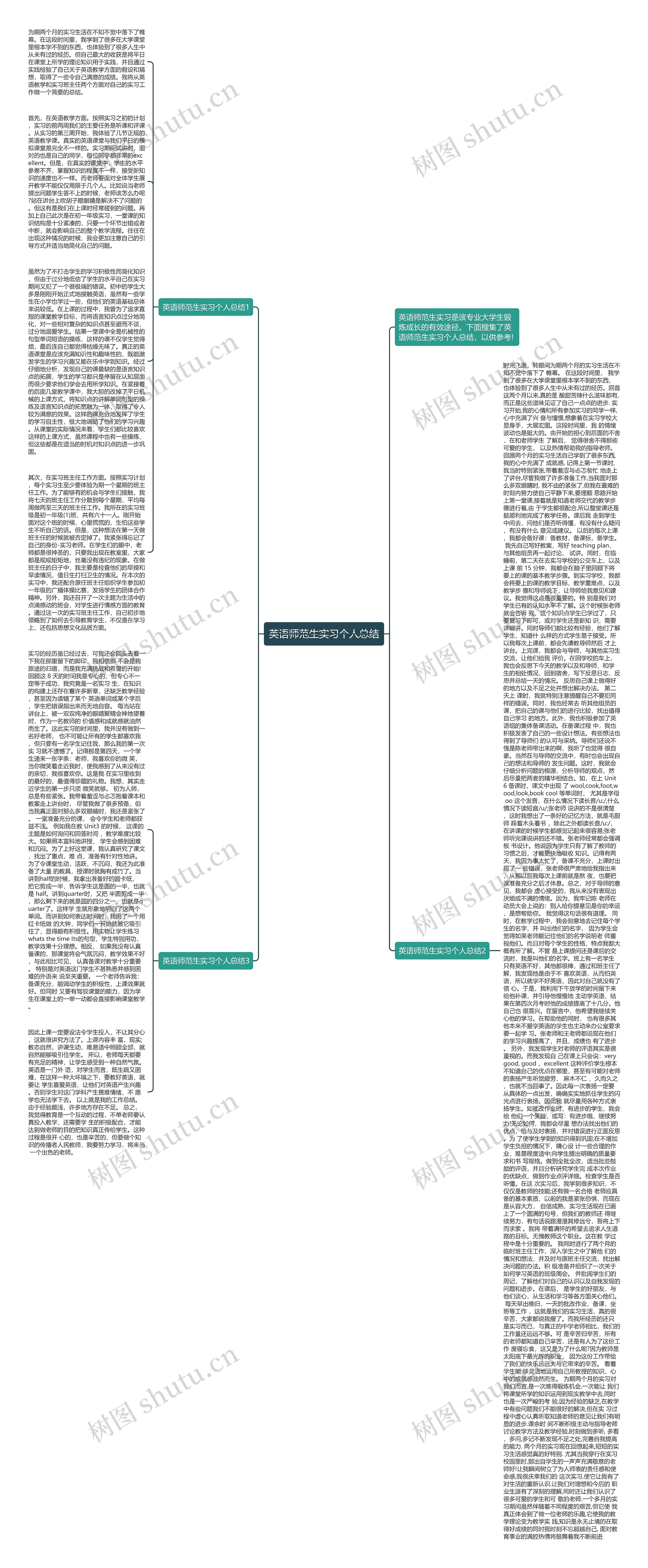 英语师范生实习个人总结思维导图