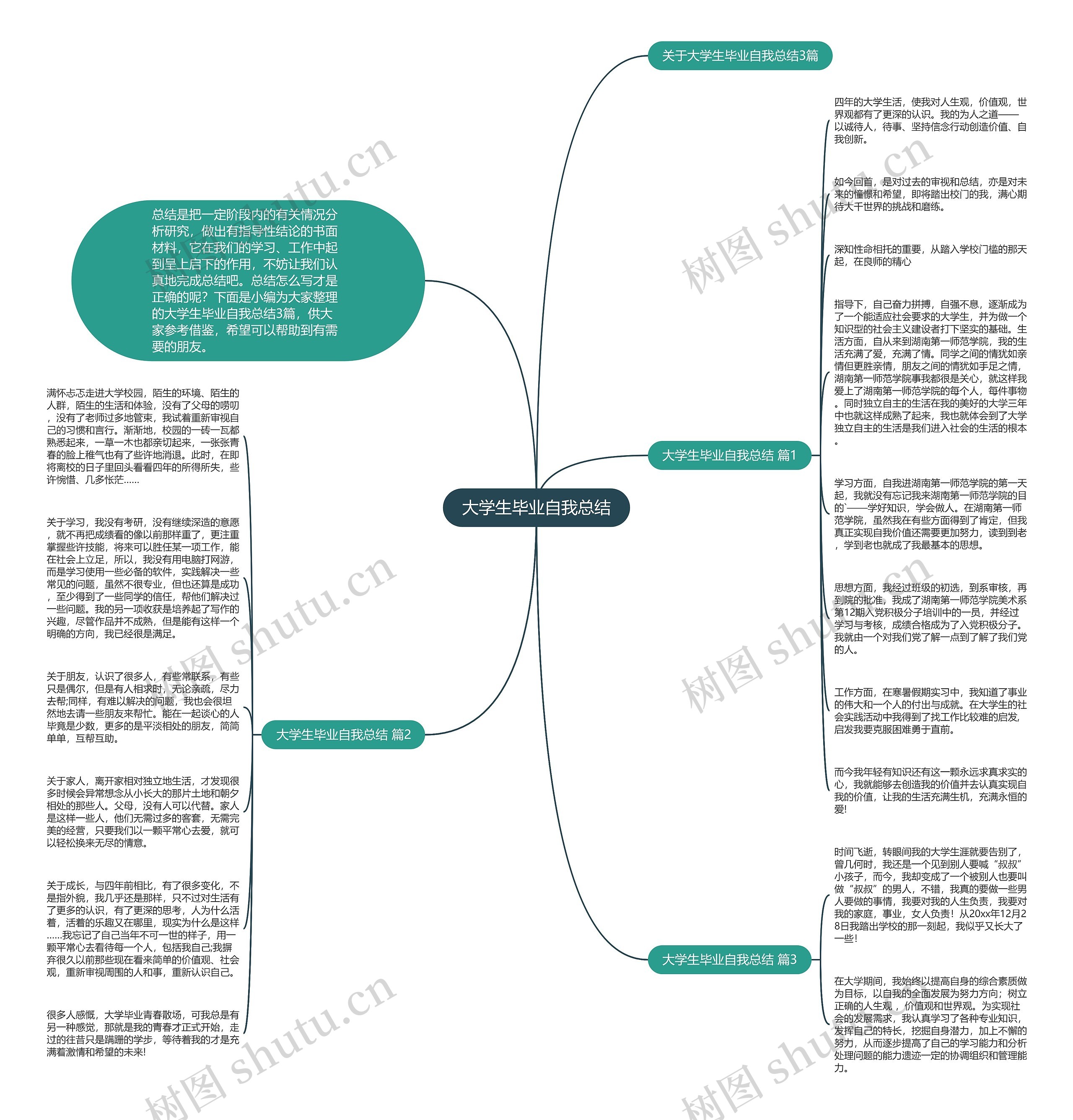 大学生毕业自我总结思维导图