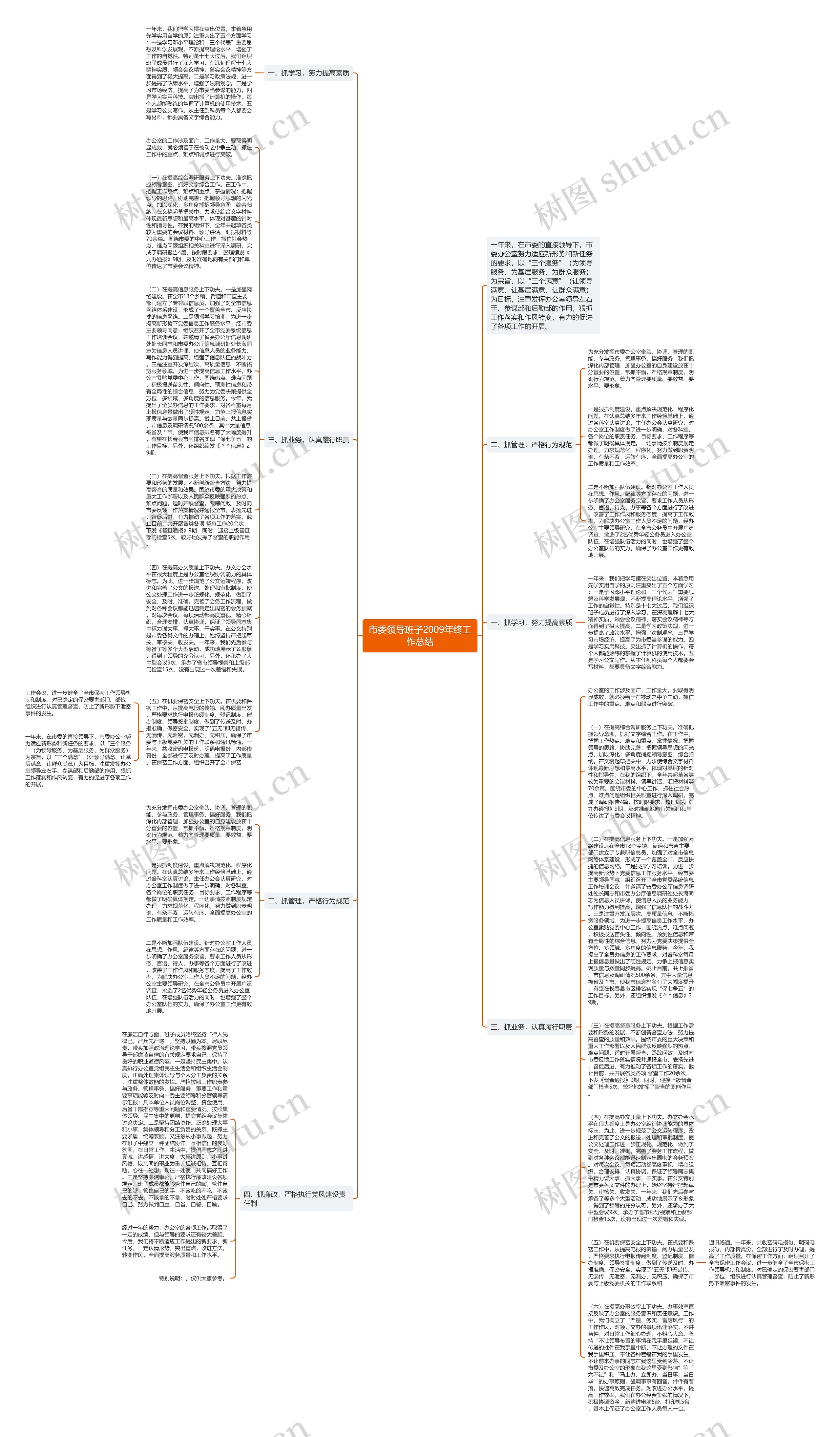 市委领导班子2009年终工作总结思维导图