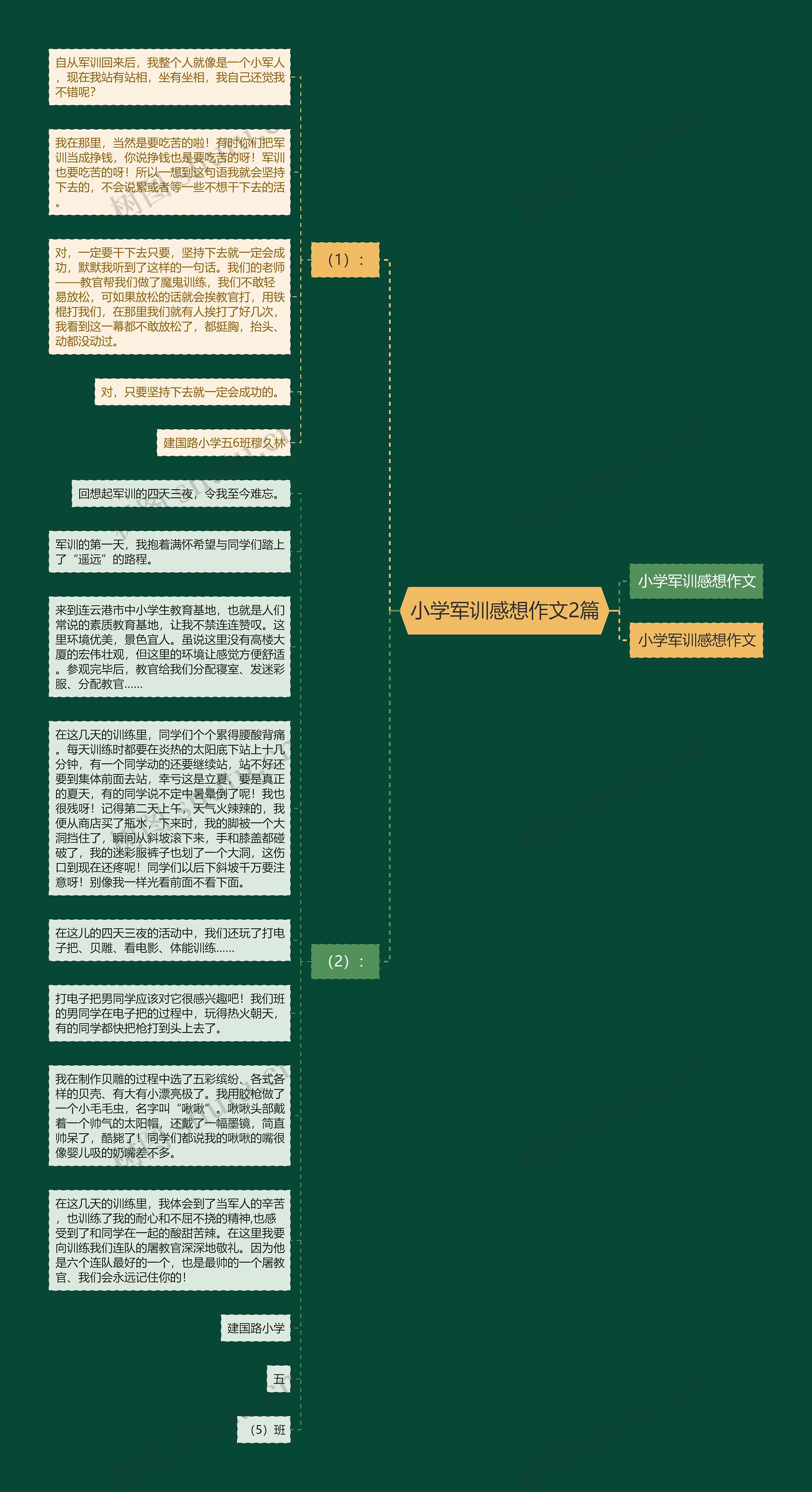 小学军训感想作文2篇思维导图