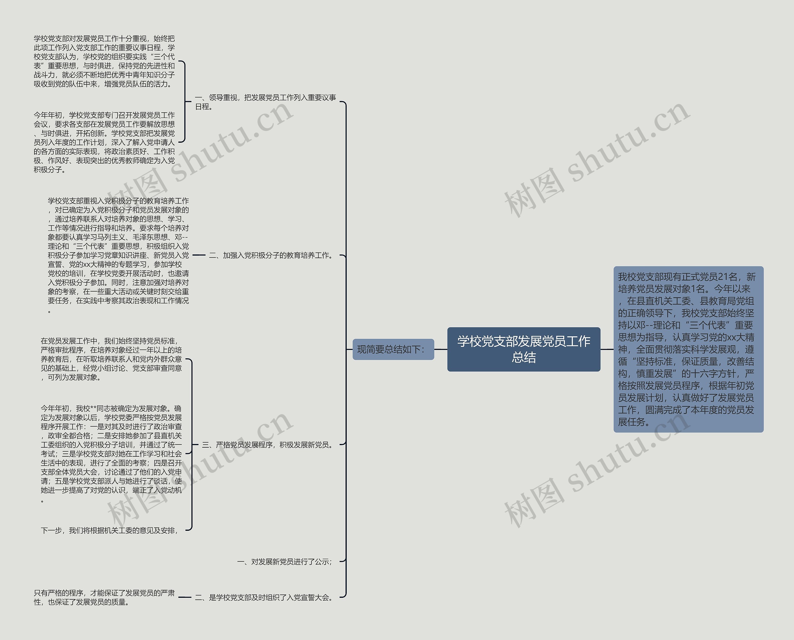 学校党支部发展党员工作总结思维导图