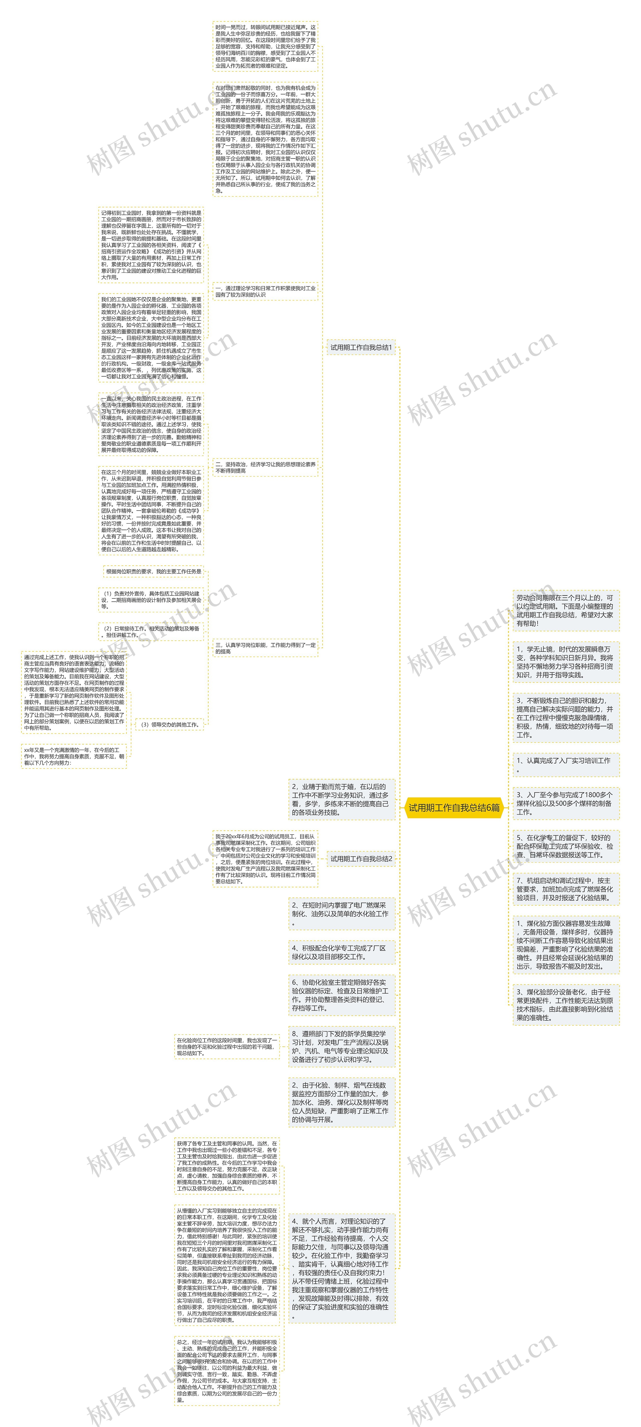 试用期工作自我总结6篇思维导图