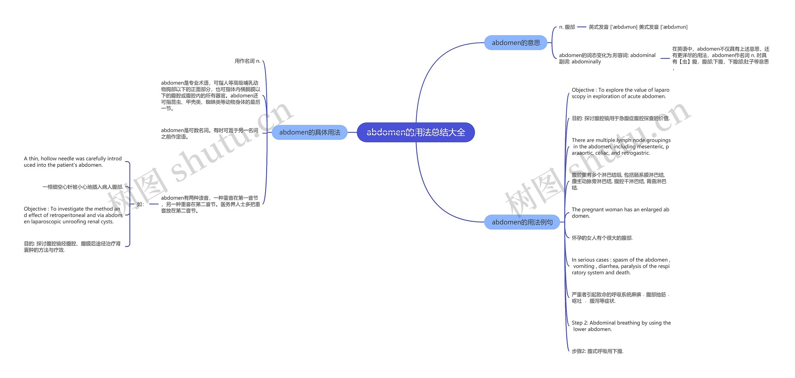 abdomen的用法总结大全思维导图
