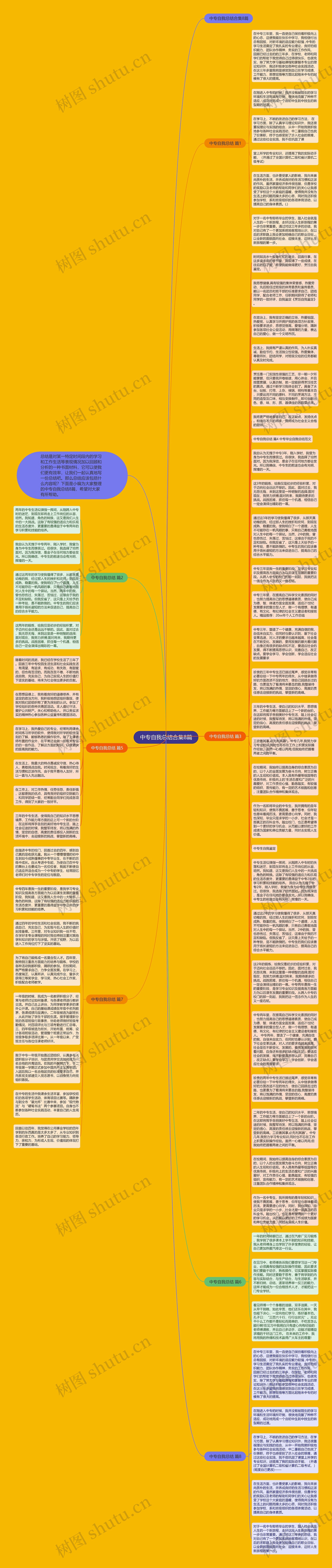 中专自我总结合集8篇思维导图