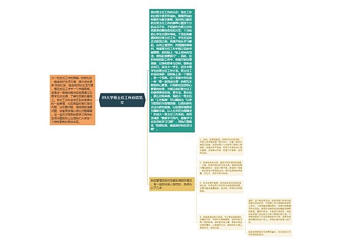 09大学班主任工作总结范文