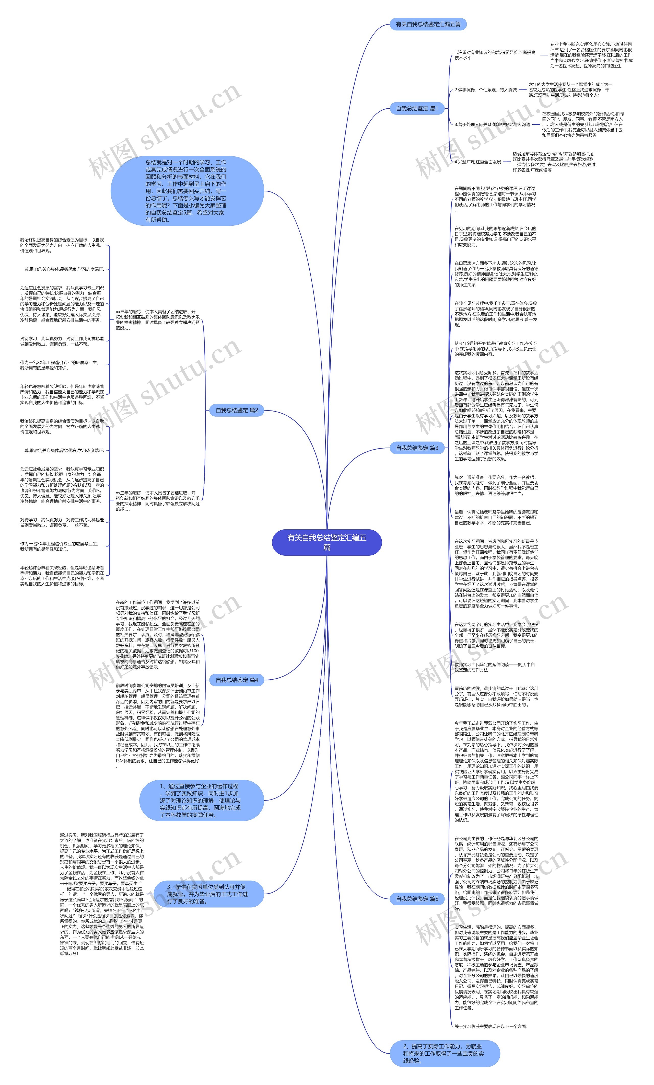 有关自我总结鉴定汇编五篇思维导图