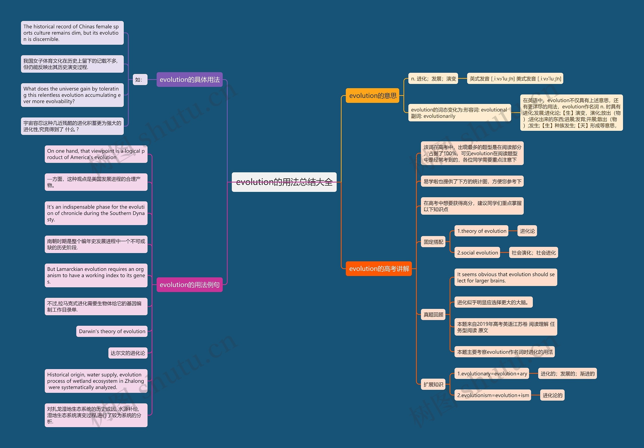 evolution的用法总结大全思维导图