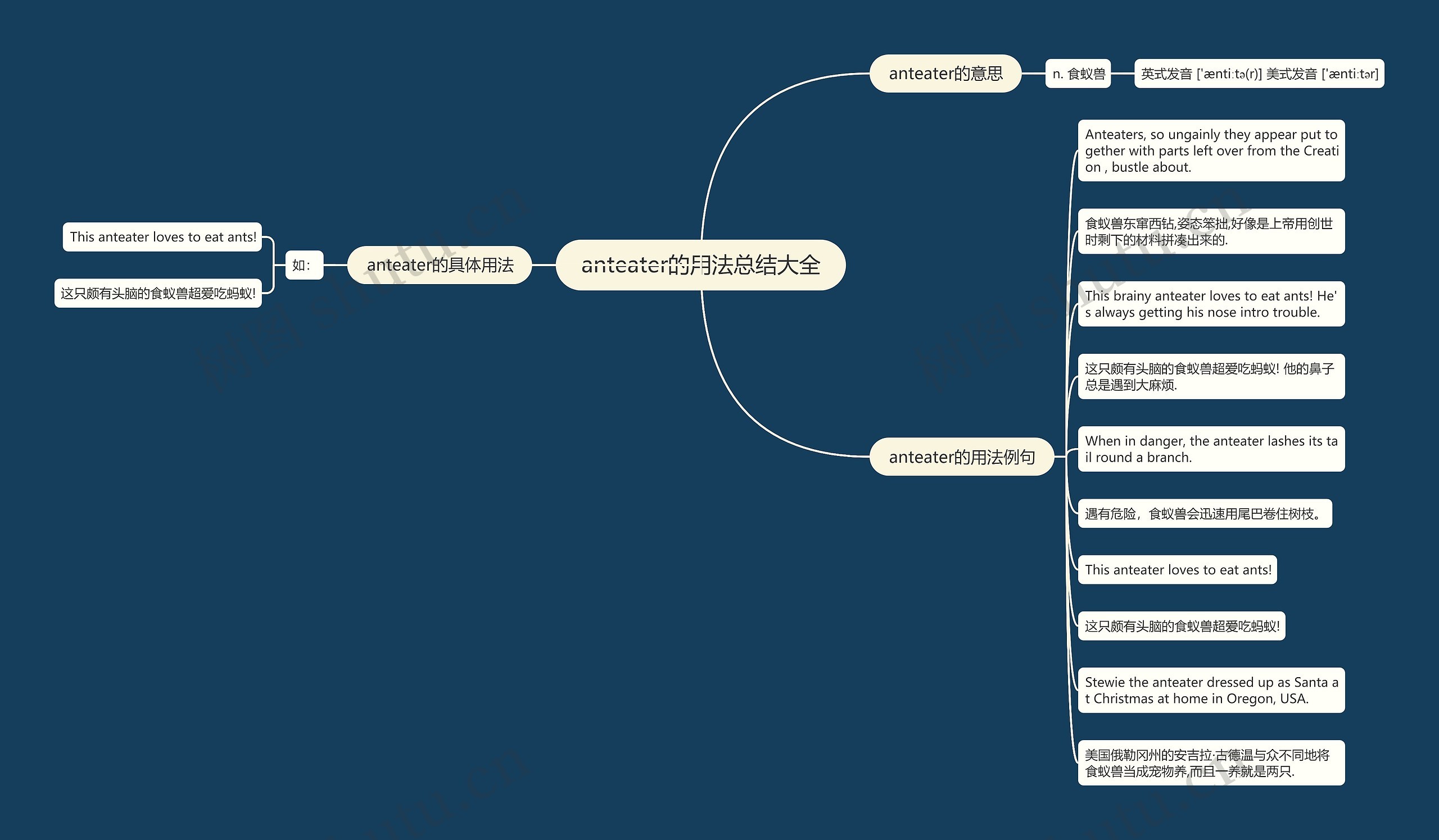 anteater的用法总结大全思维导图
