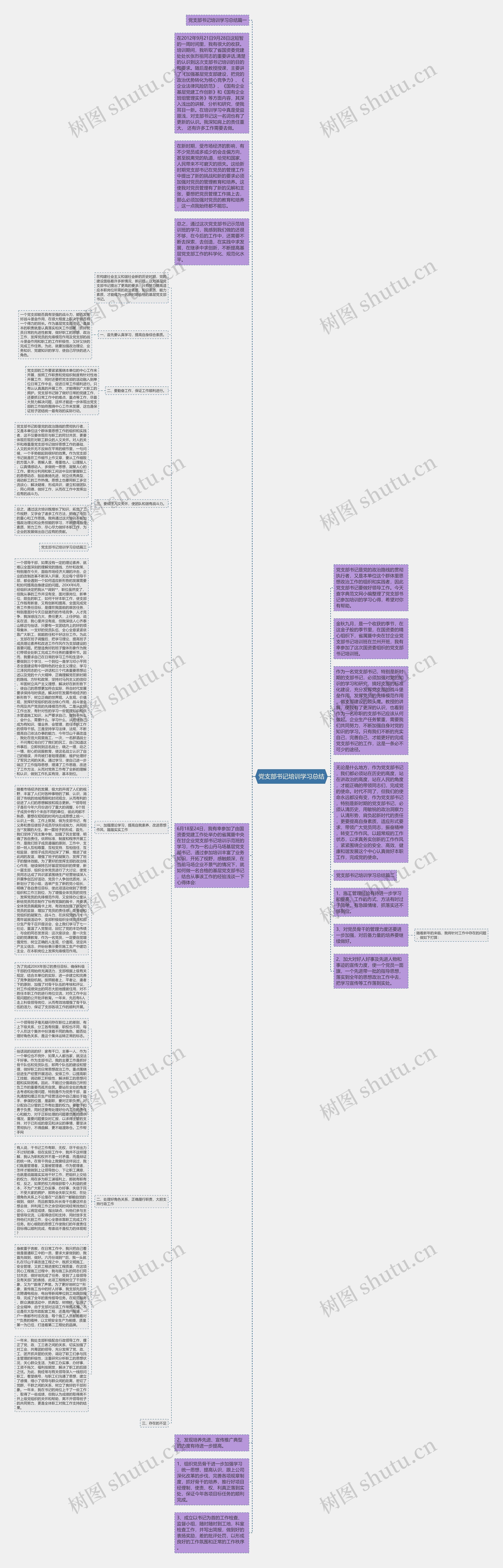 党支部书记培训学习总结思维导图