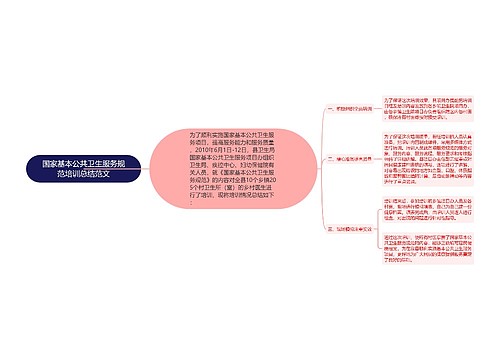 国家基本公共卫生服务规范培训总结范文