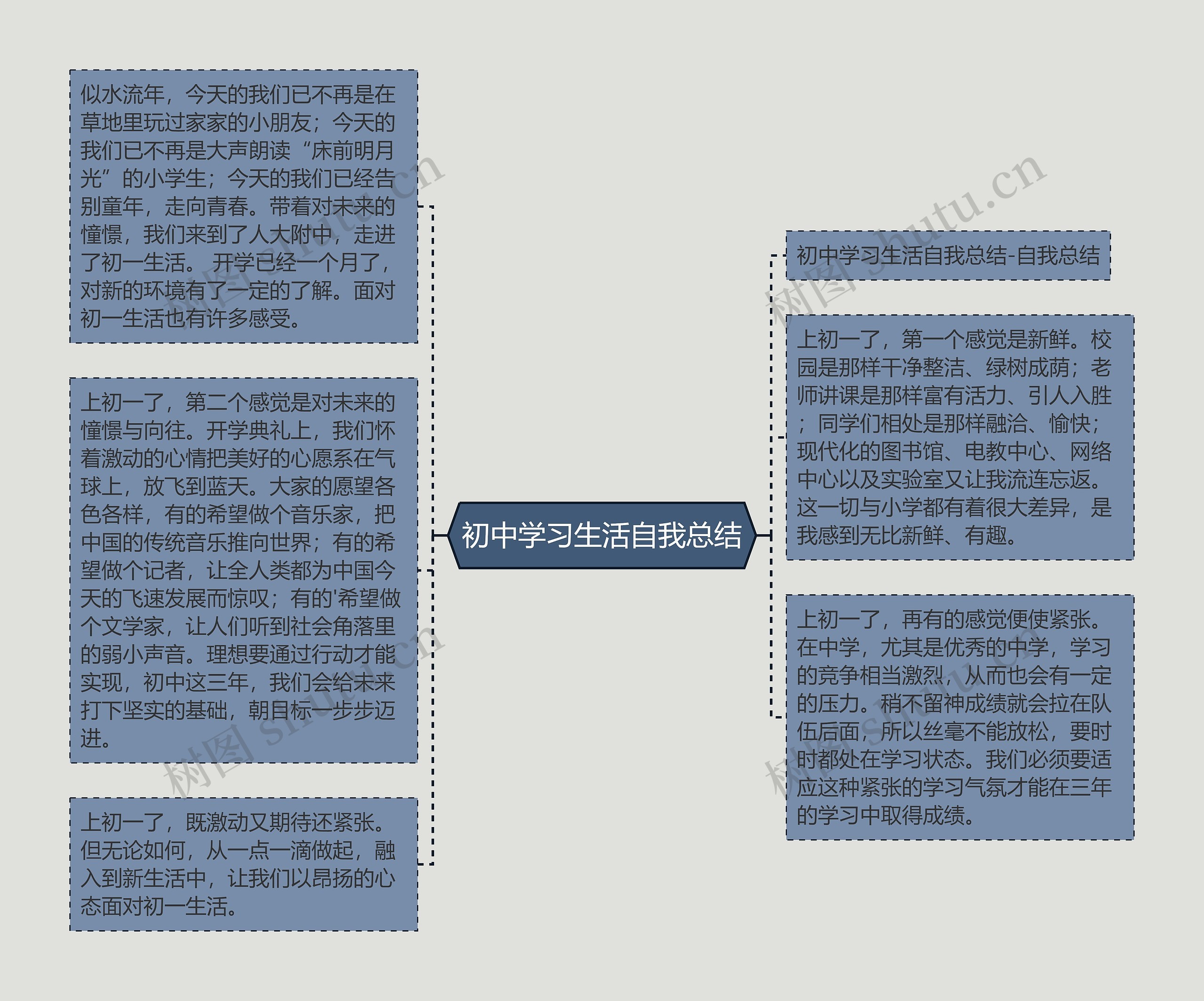 初中学习生活自我总结