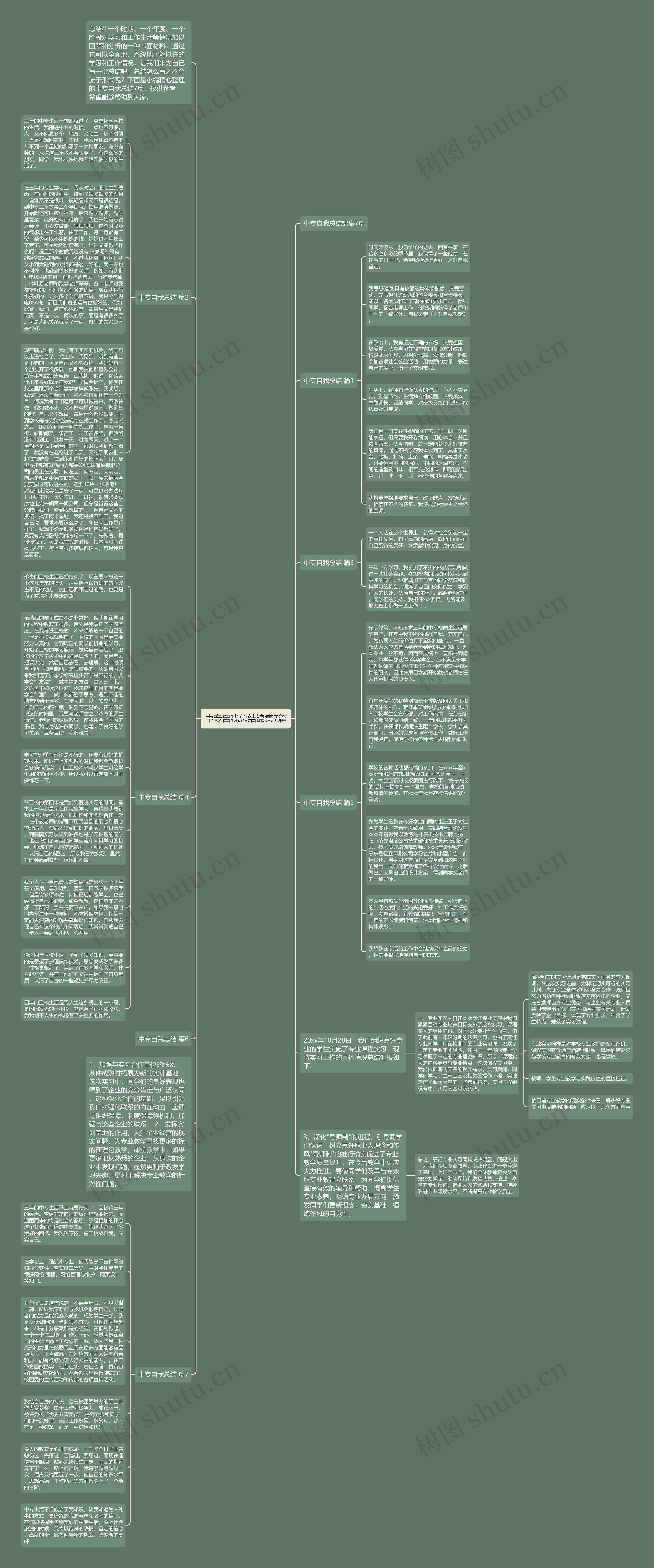 中专自我总结锦集7篇思维导图