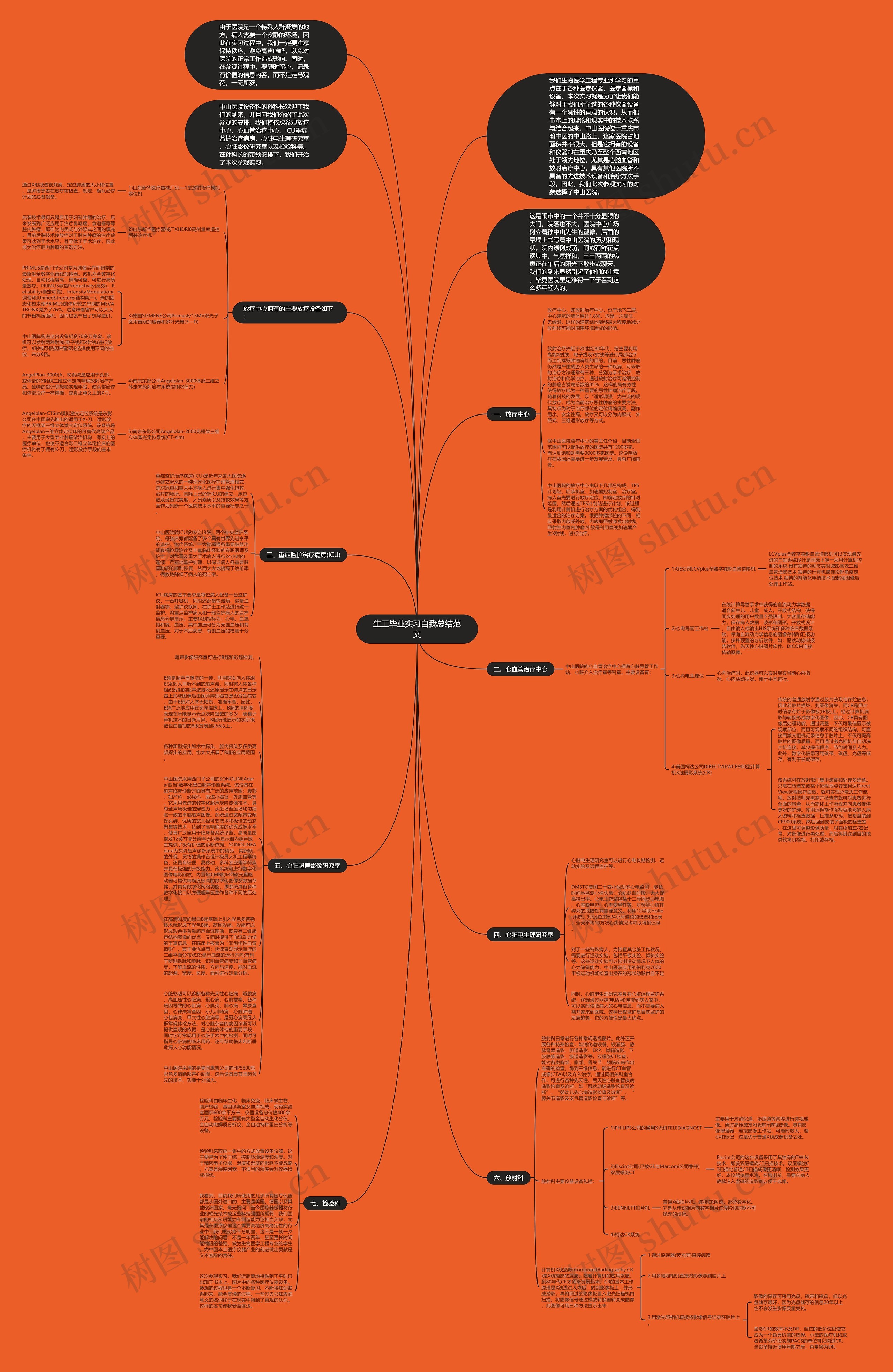 生工毕业实习自我总结范文思维导图