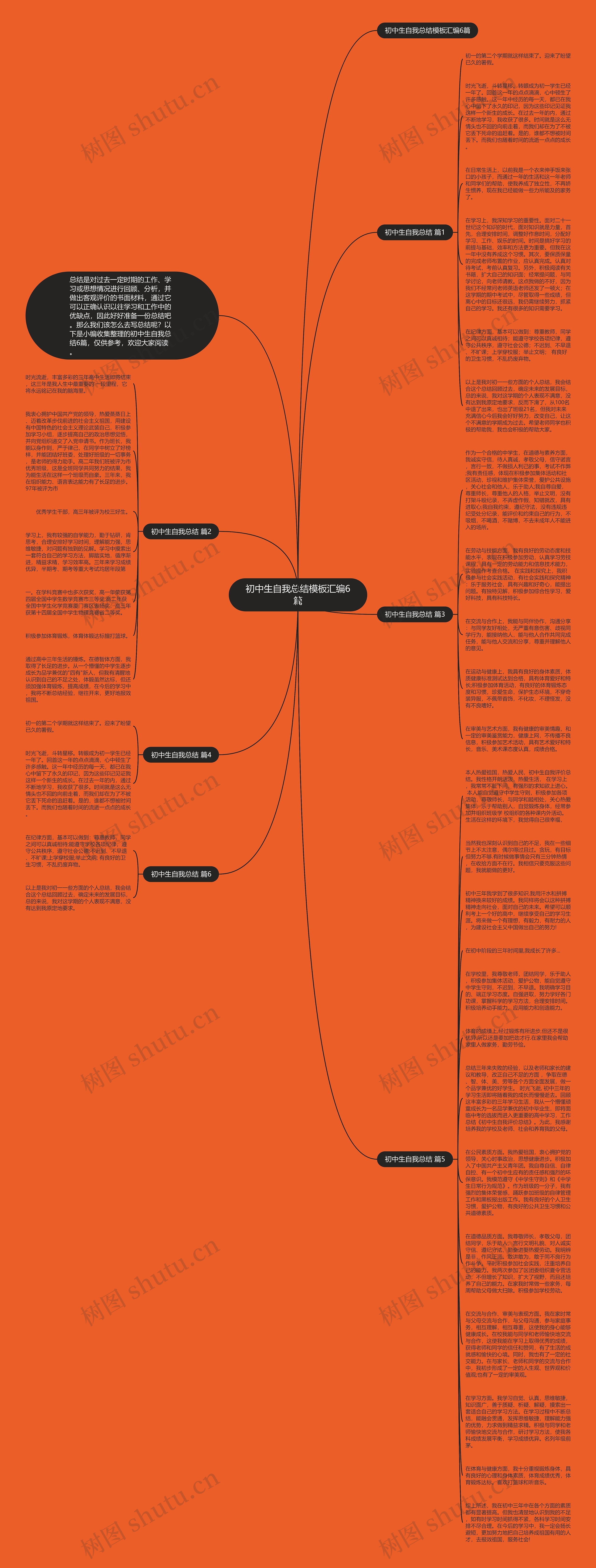 初中生自我总结汇编6篇思维导图