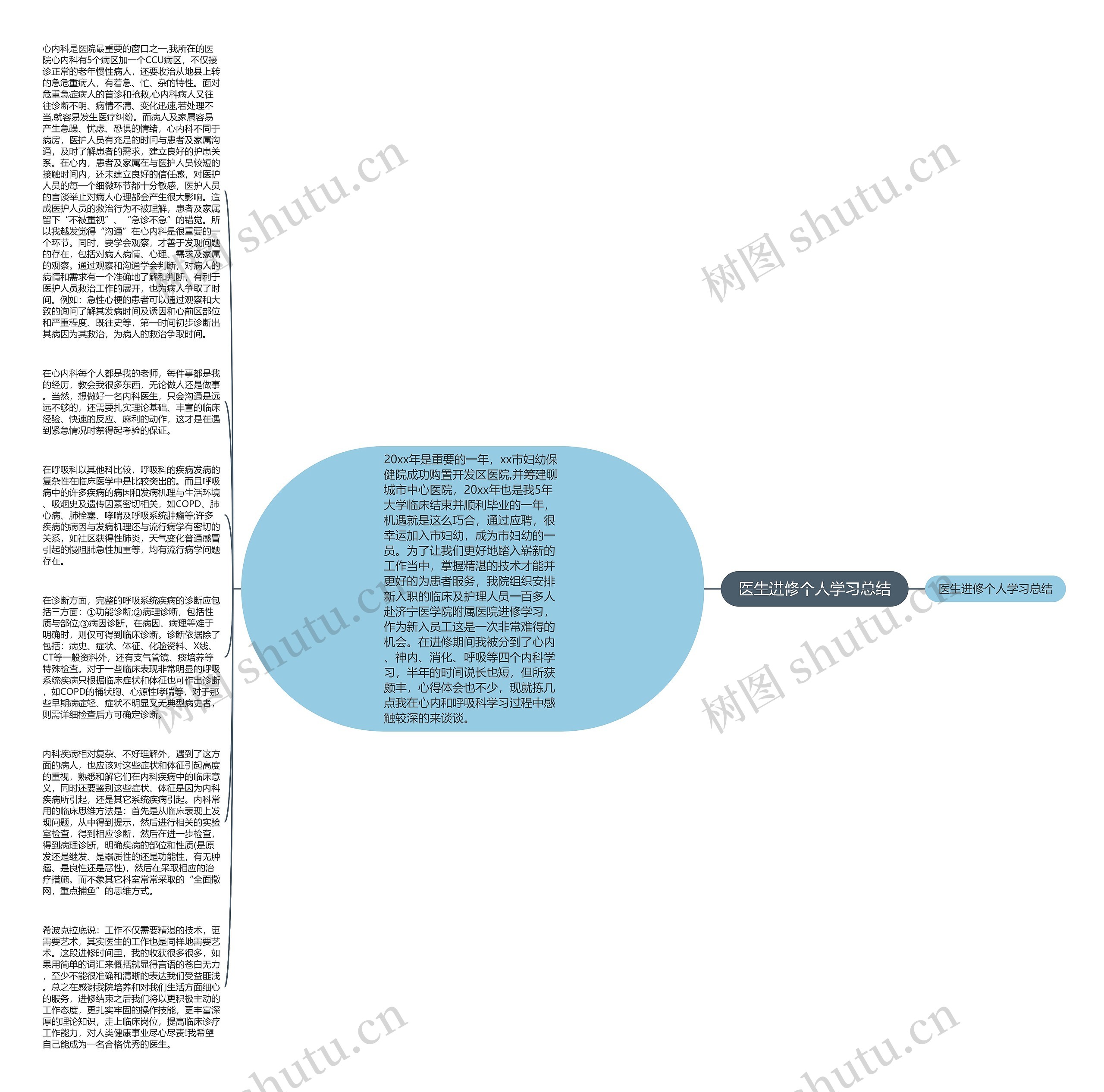 医生进修个人学习总结思维导图