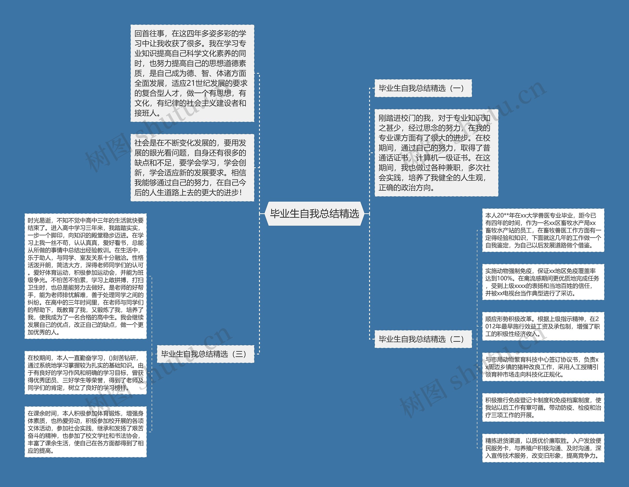 毕业生自我总结精选思维导图