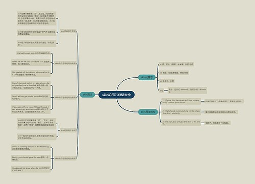 skin的用法总结大全