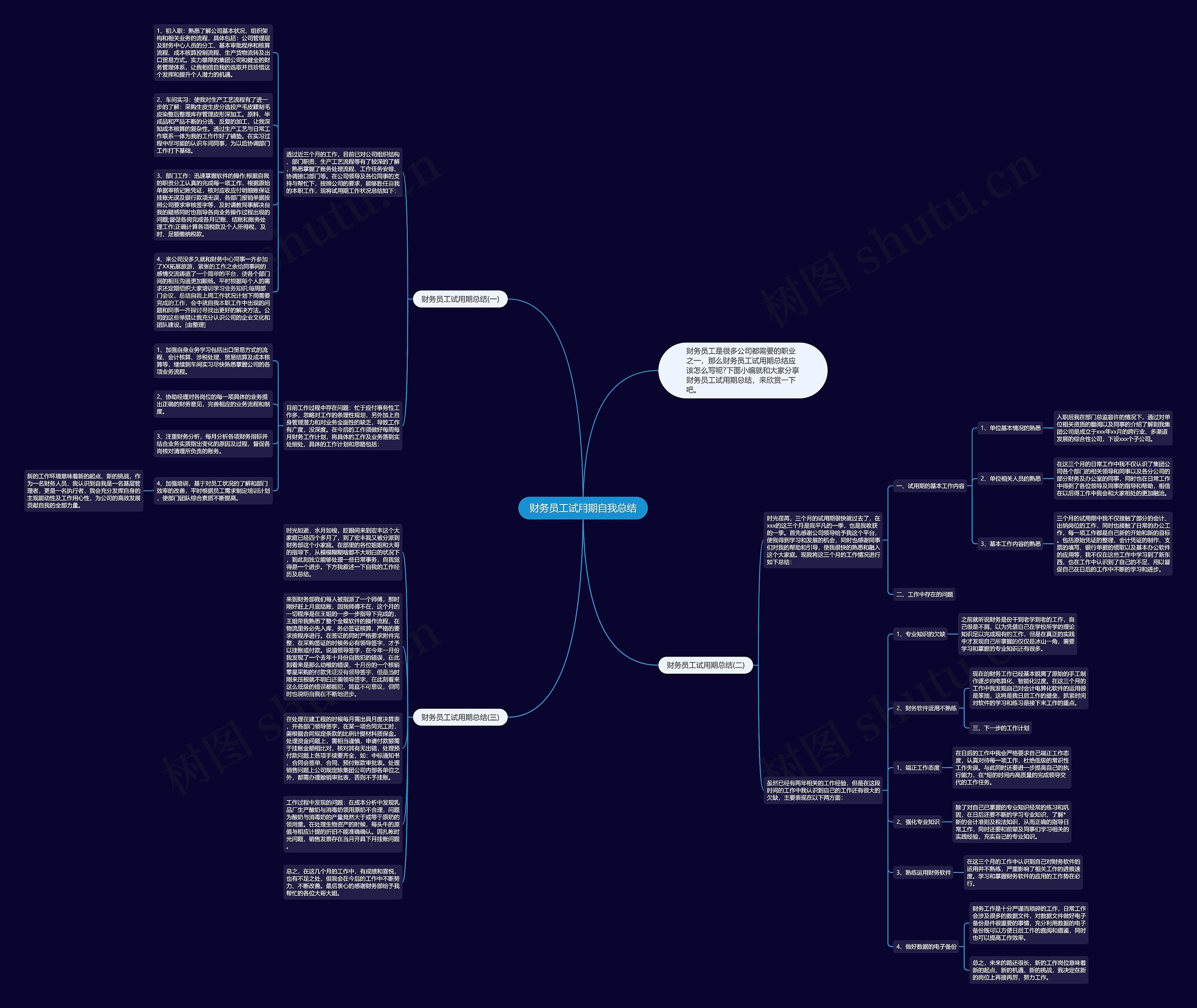 财务员工试用期自我总结思维导图