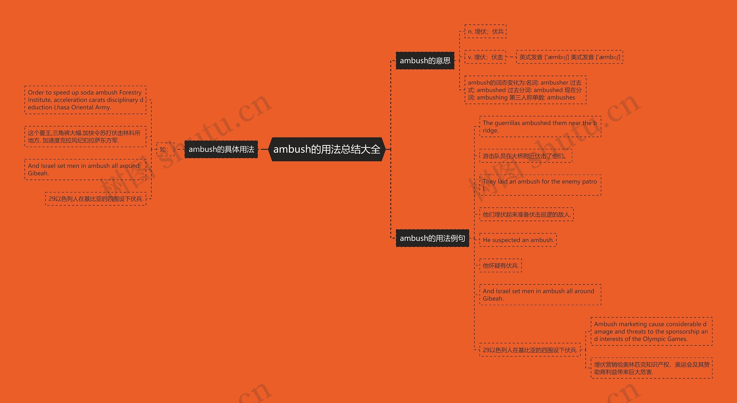 ambush的用法总结大全思维导图
