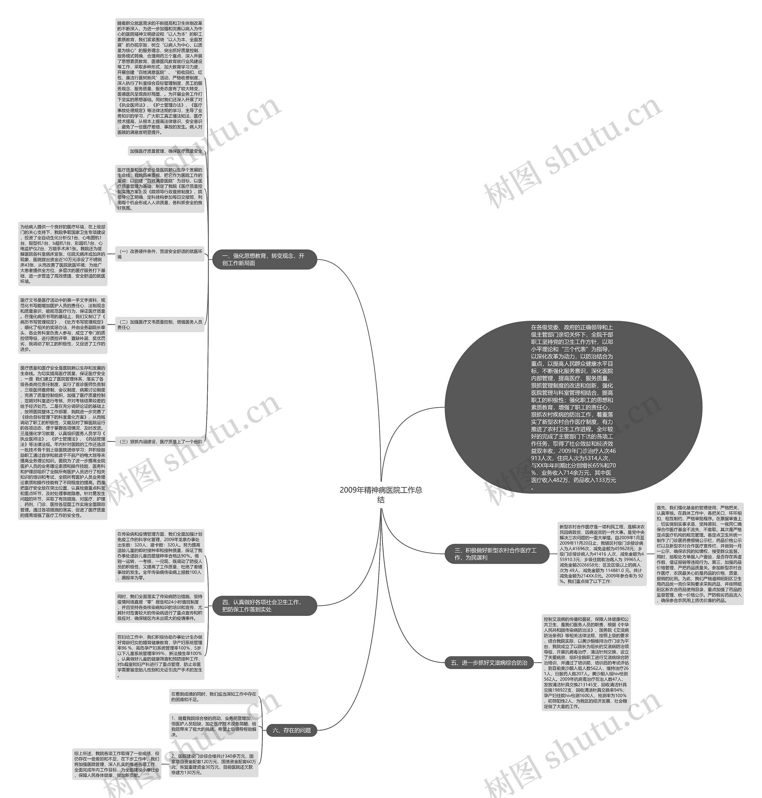 2009年精神病医院工作总结思维导图