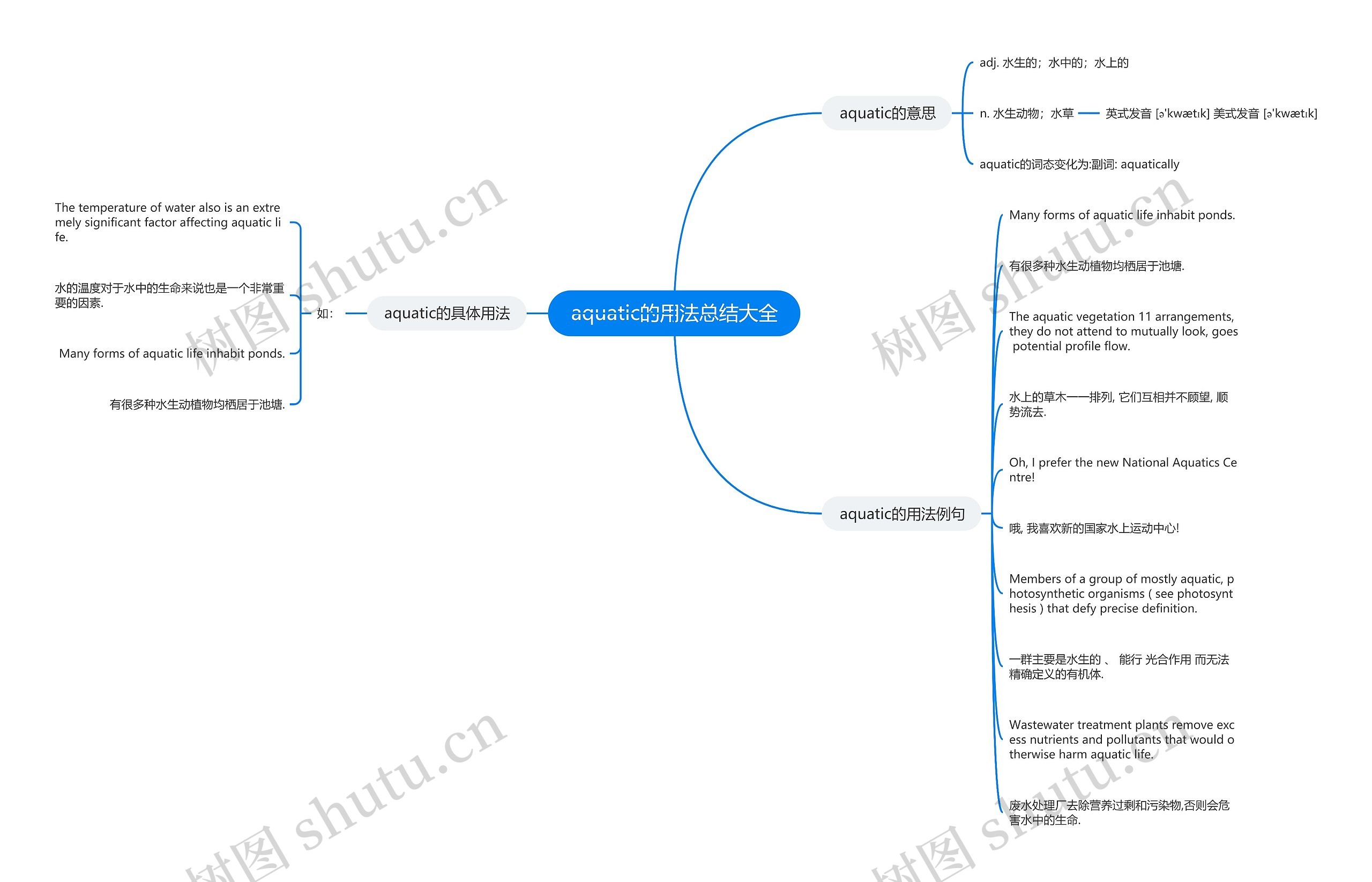 aquatic的用法总结大全思维导图