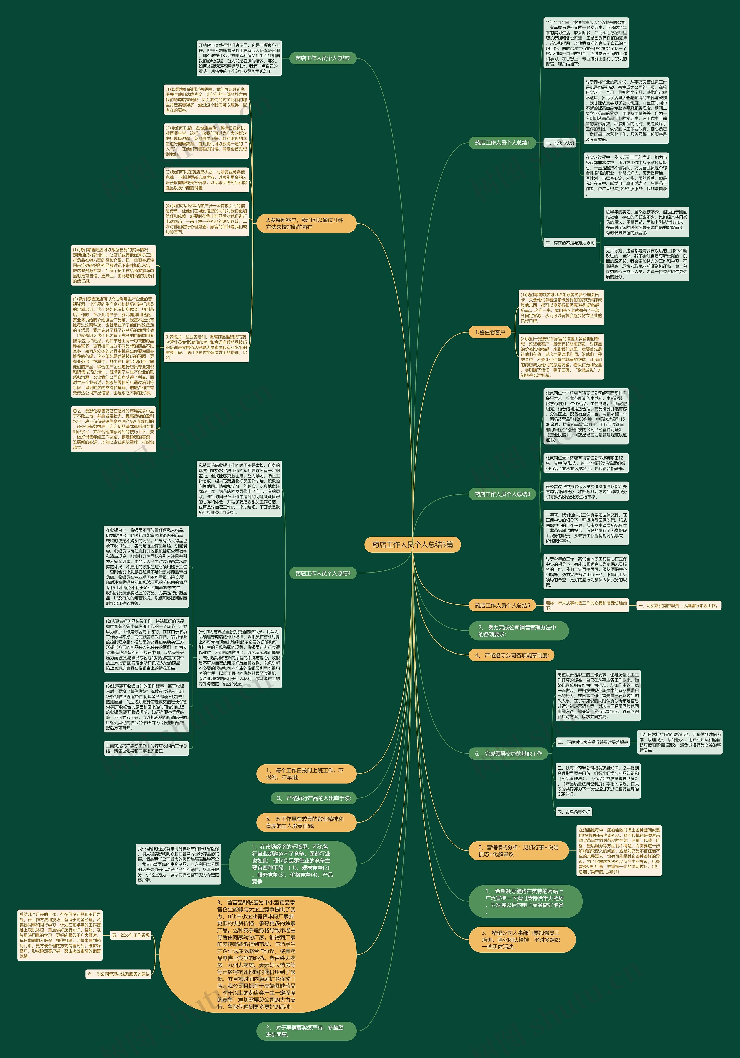 药店工作人员个人总结5篇思维导图
