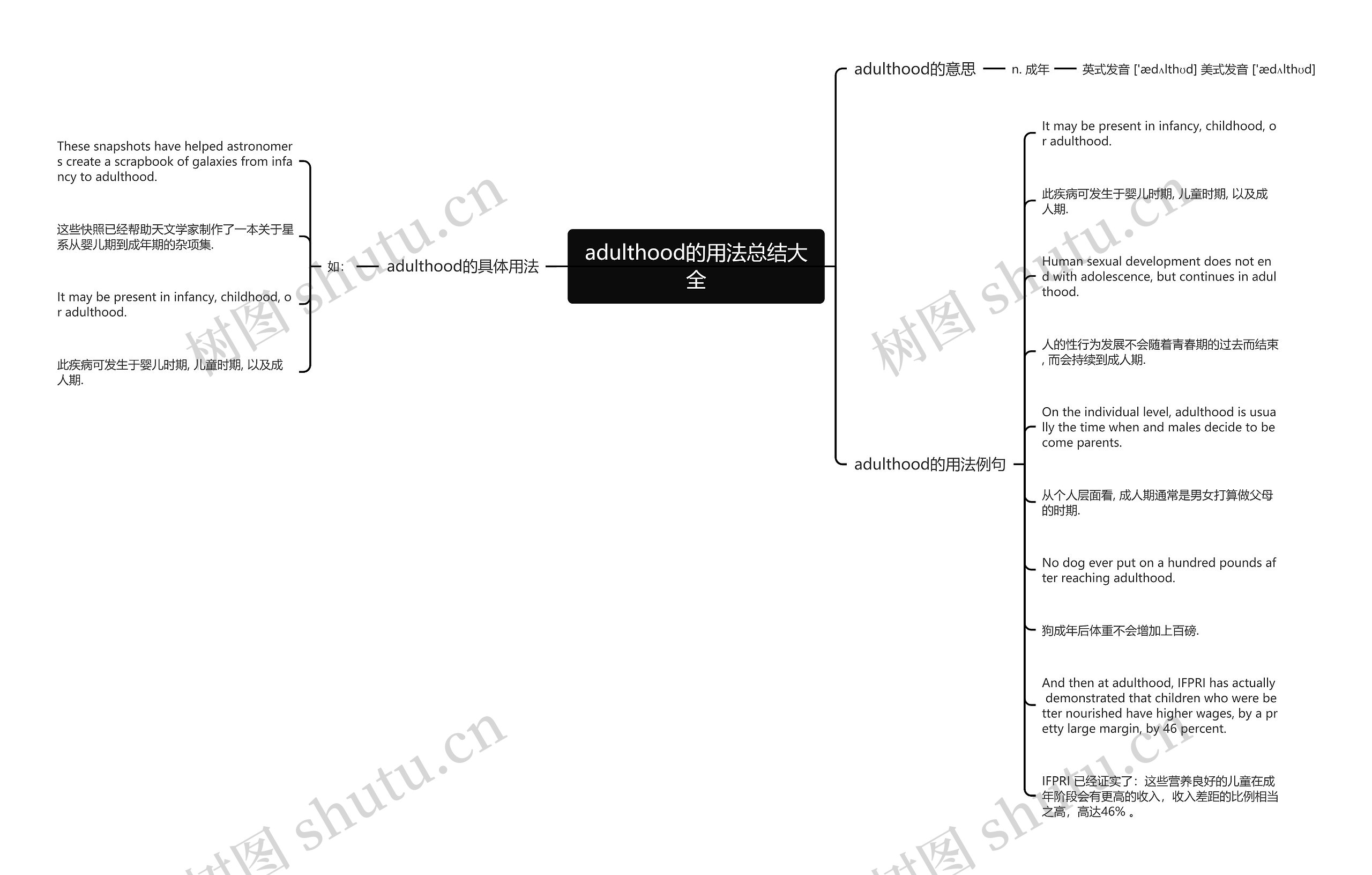 adulthood的用法总结大全思维导图