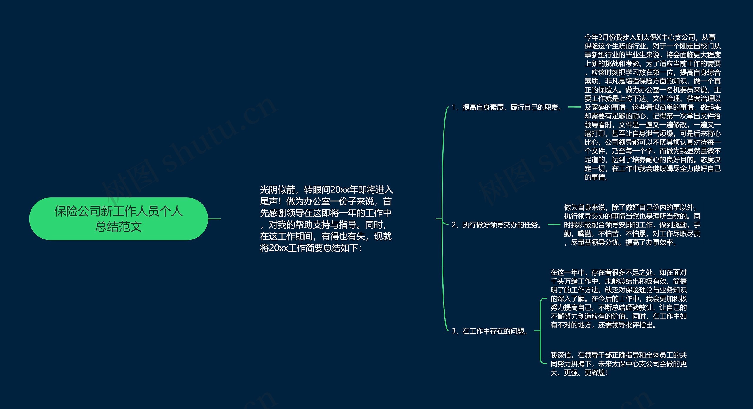 保险公司新工作人员个人总结范文思维导图