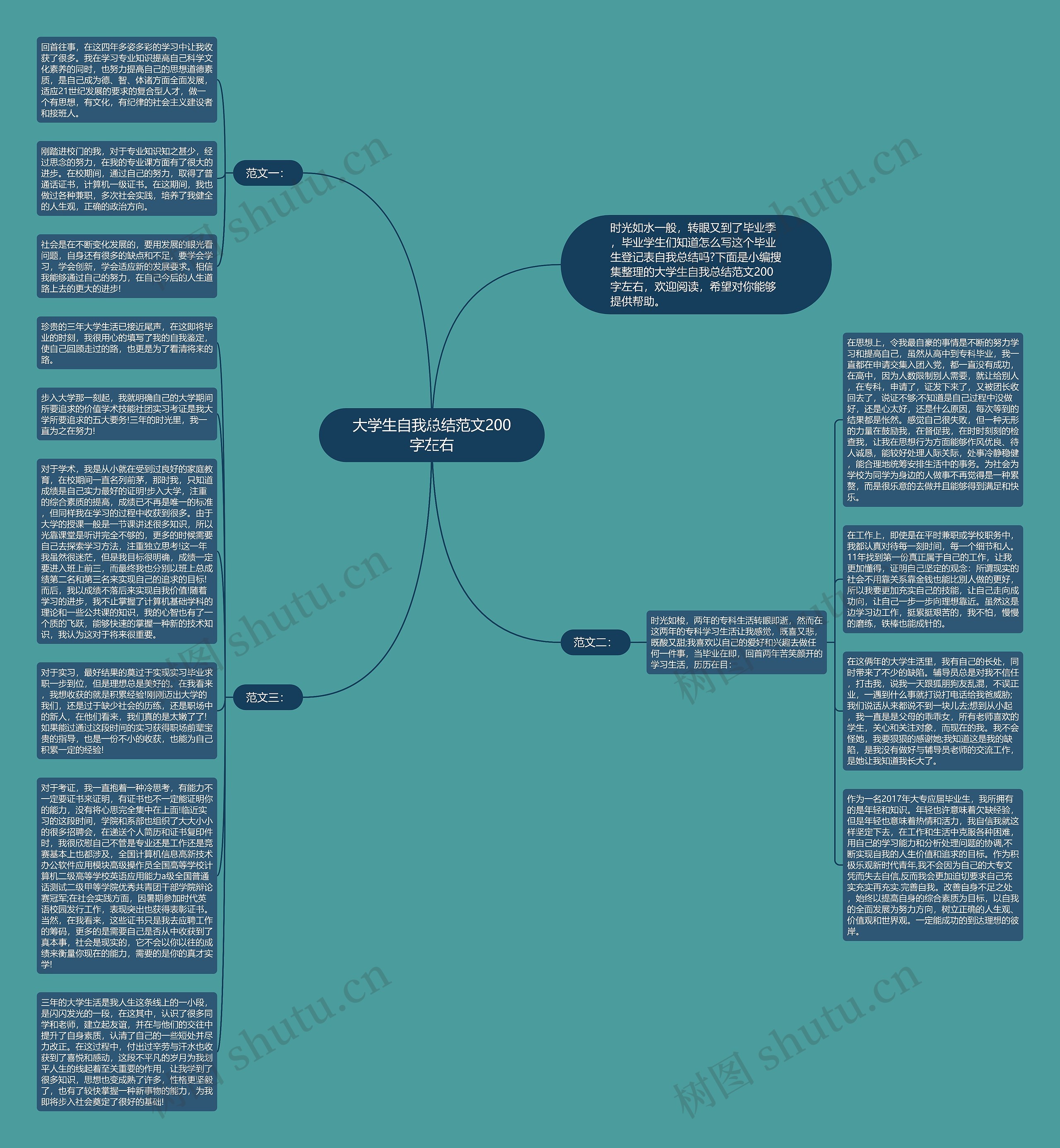 大学生自我总结范文200字左右思维导图