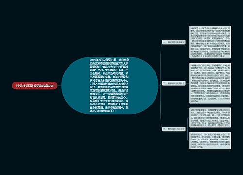 村党支部副书记培训体会