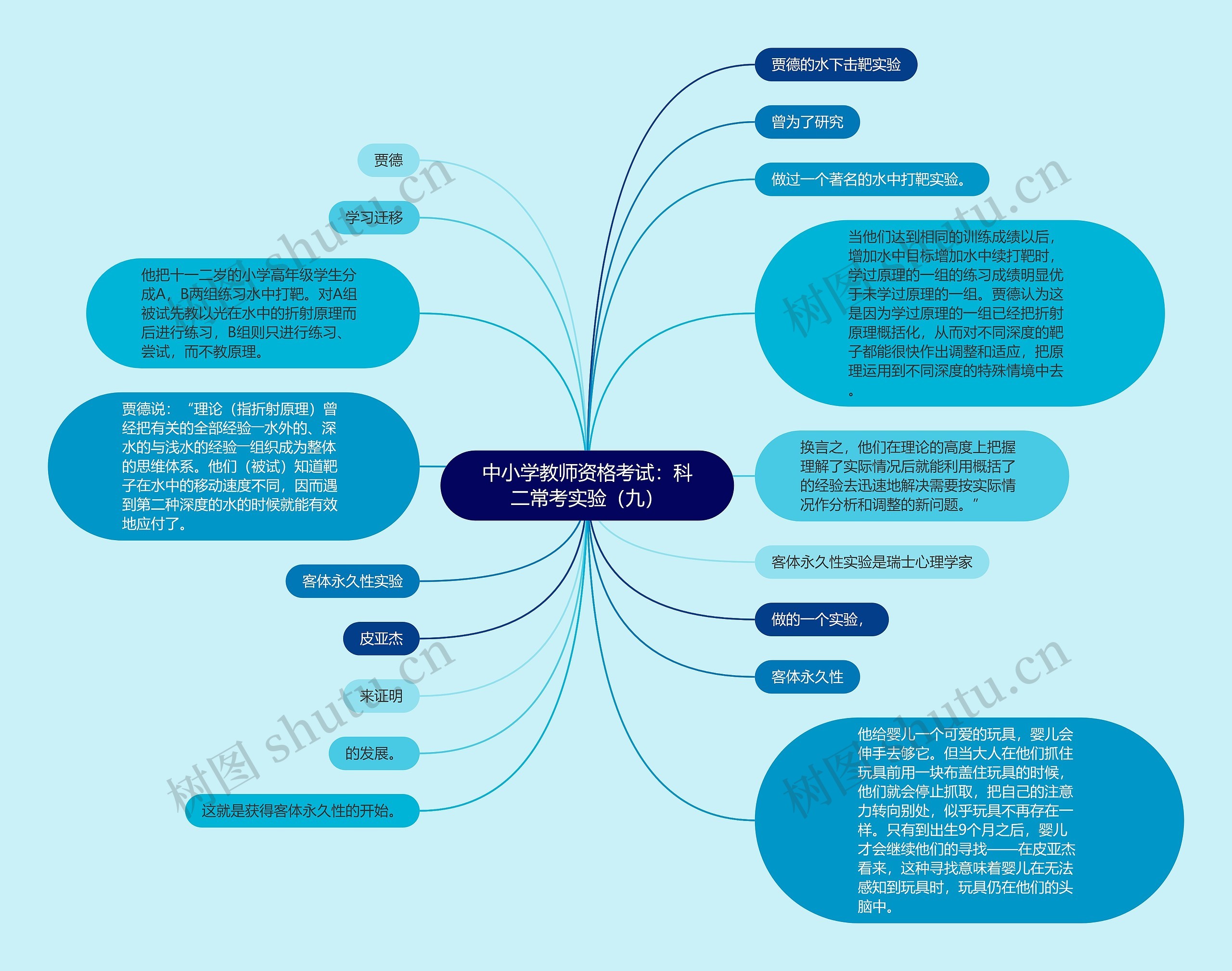 中小学教师资格考试：科二常考实验（九）