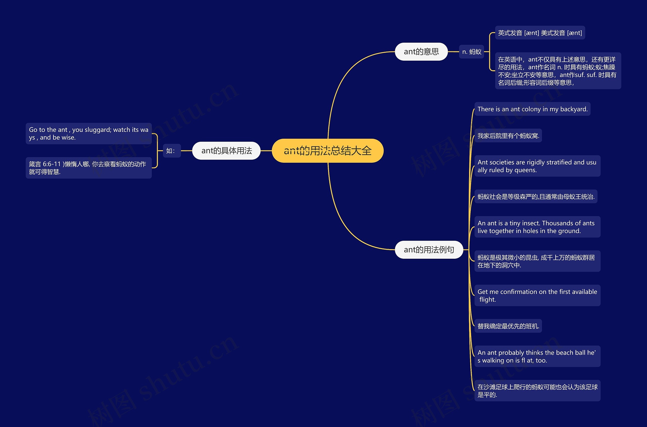 ant的用法总结大全思维导图