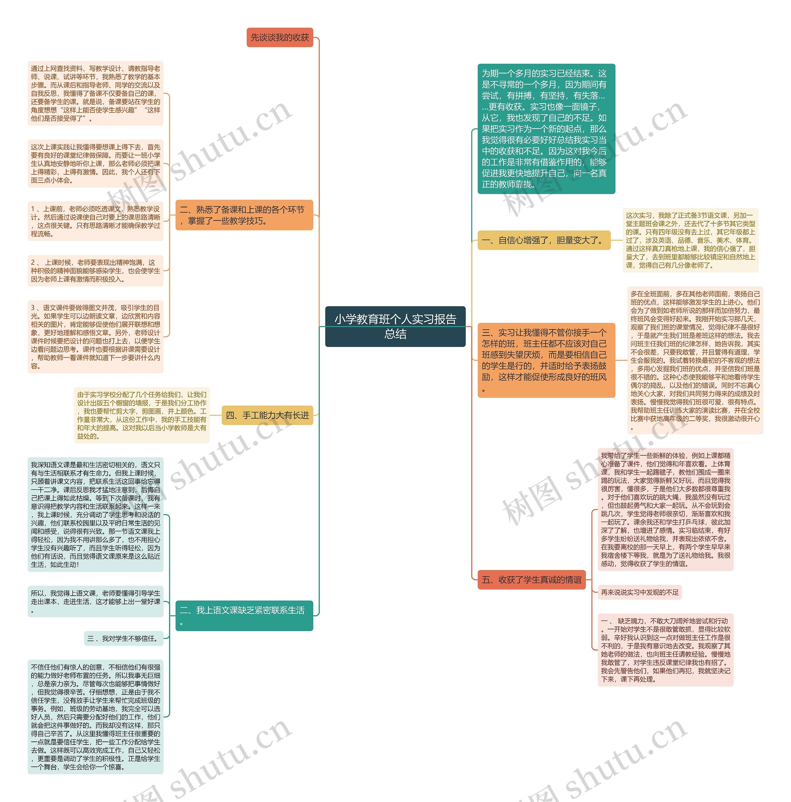 小学教育班个人实习报告总结思维导图