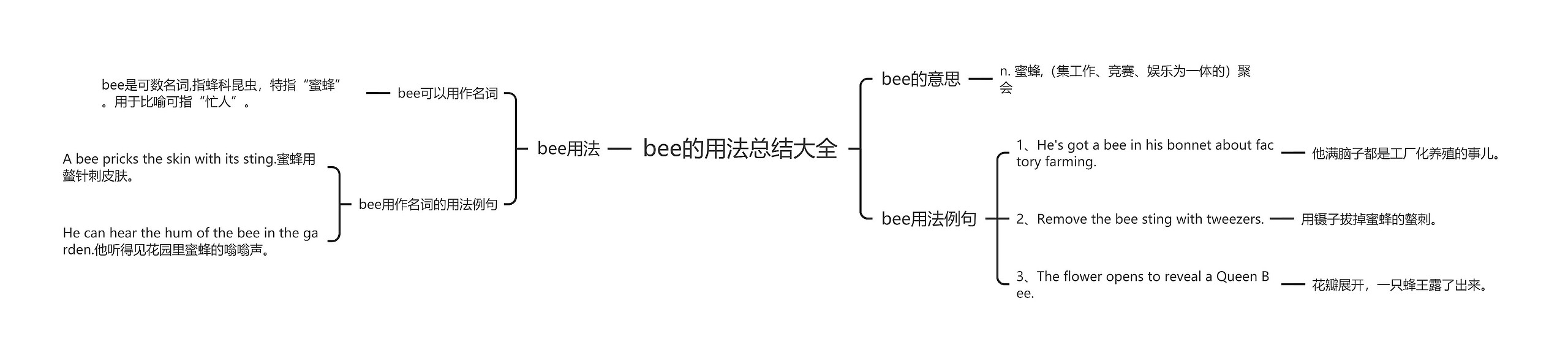 bee的用法总结大全思维导图