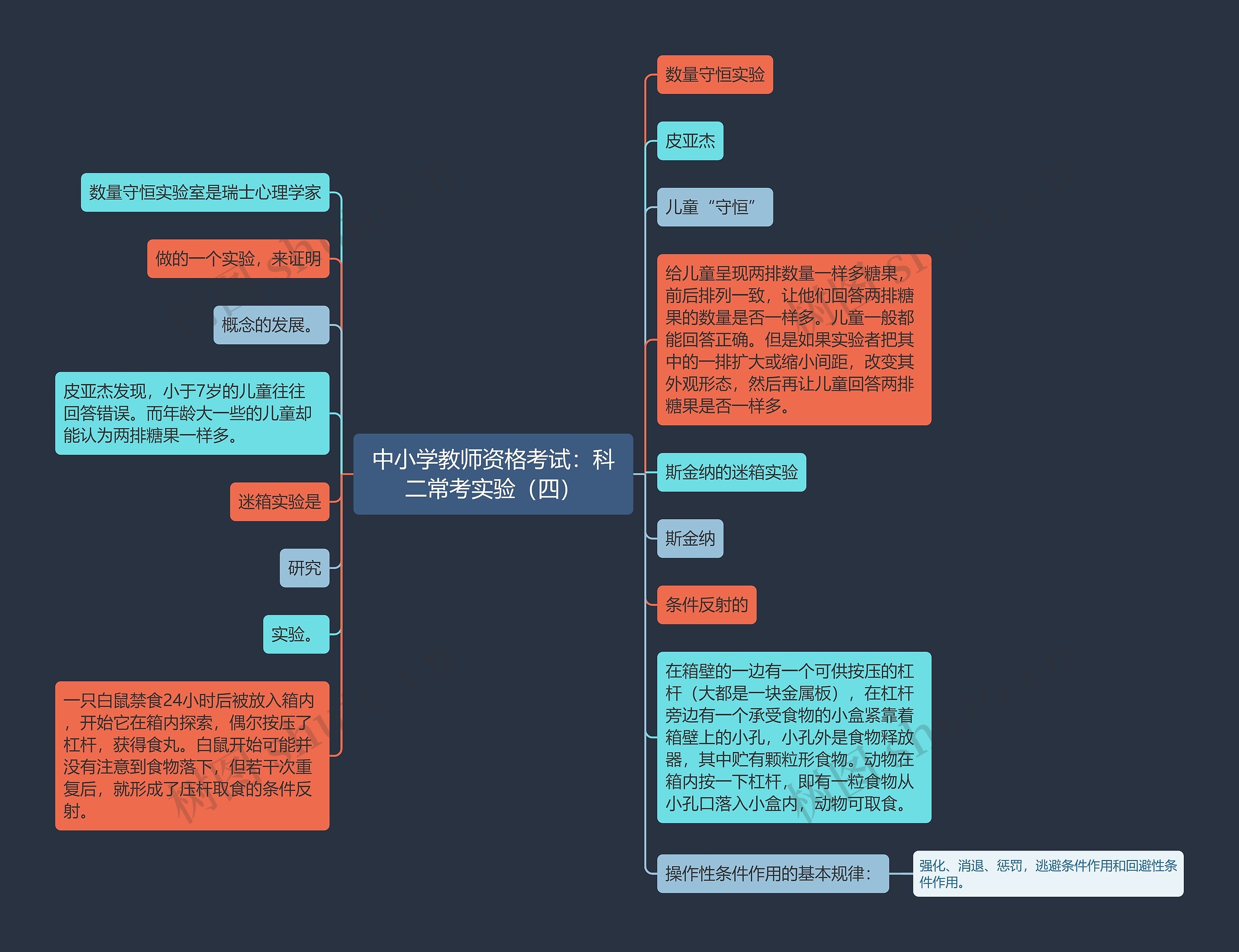 中小学教师资格考试：科二常考实验（四）思维导图