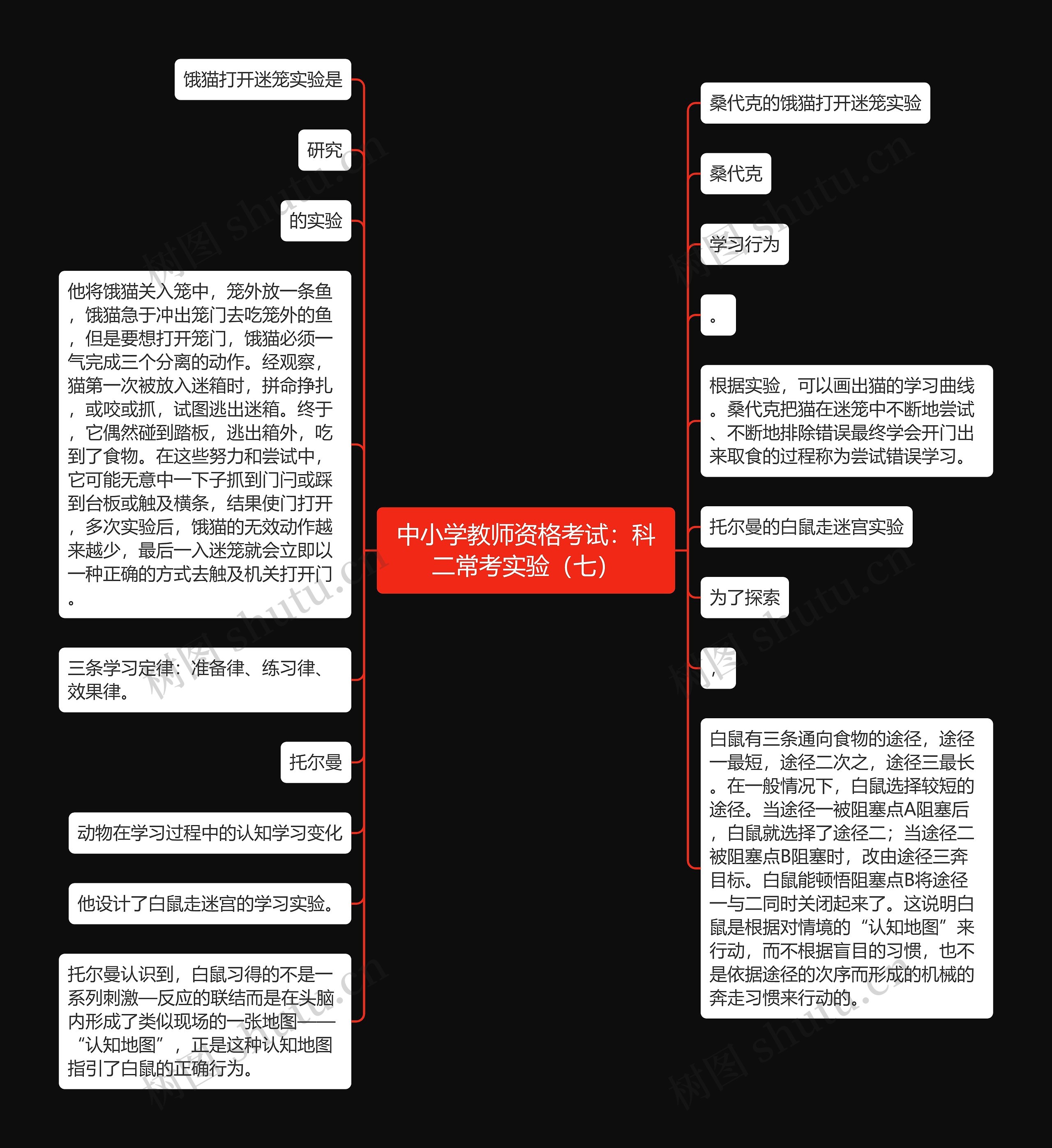 中小学教师资格考试：科二常考实验（七）